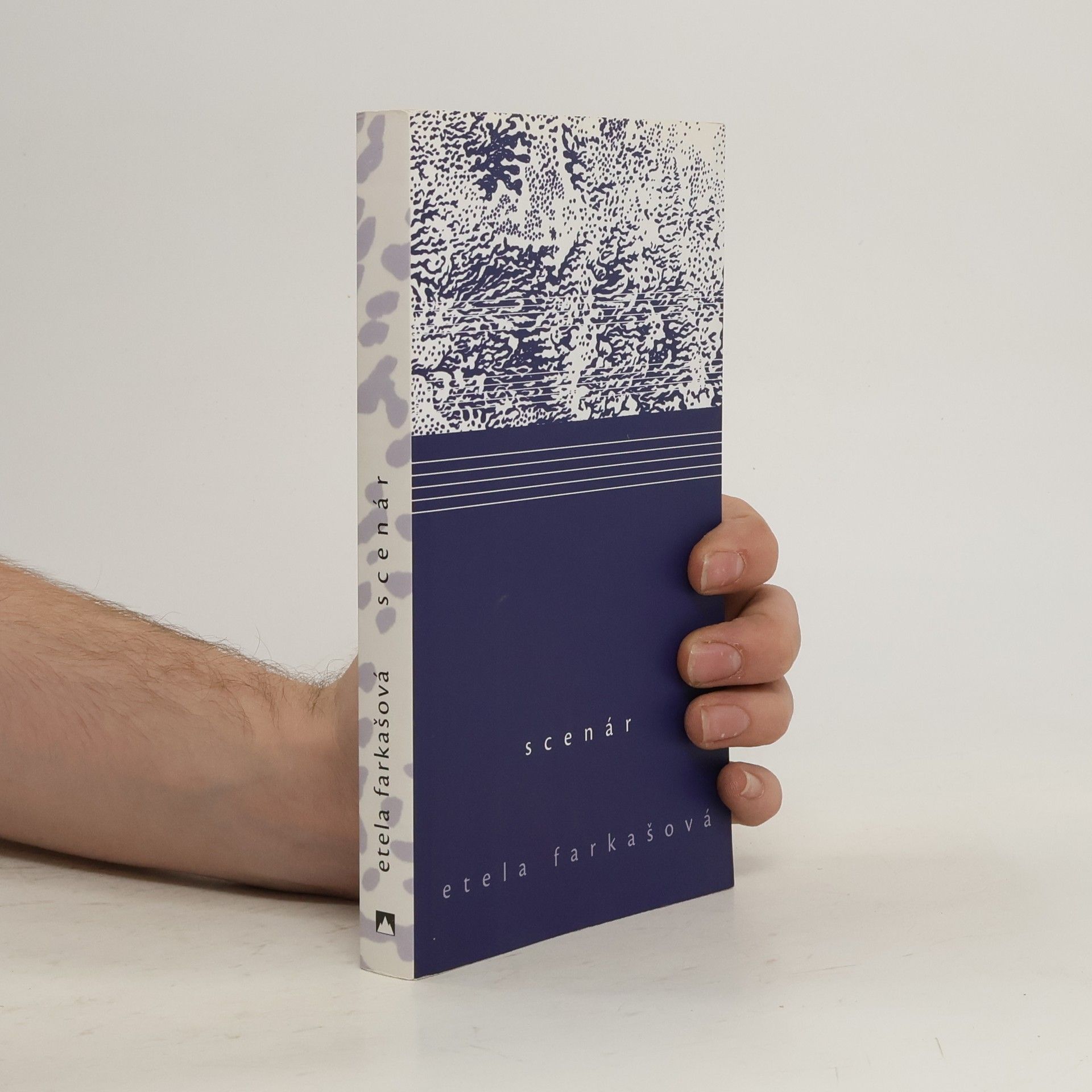 Etela Farkašová Scenár