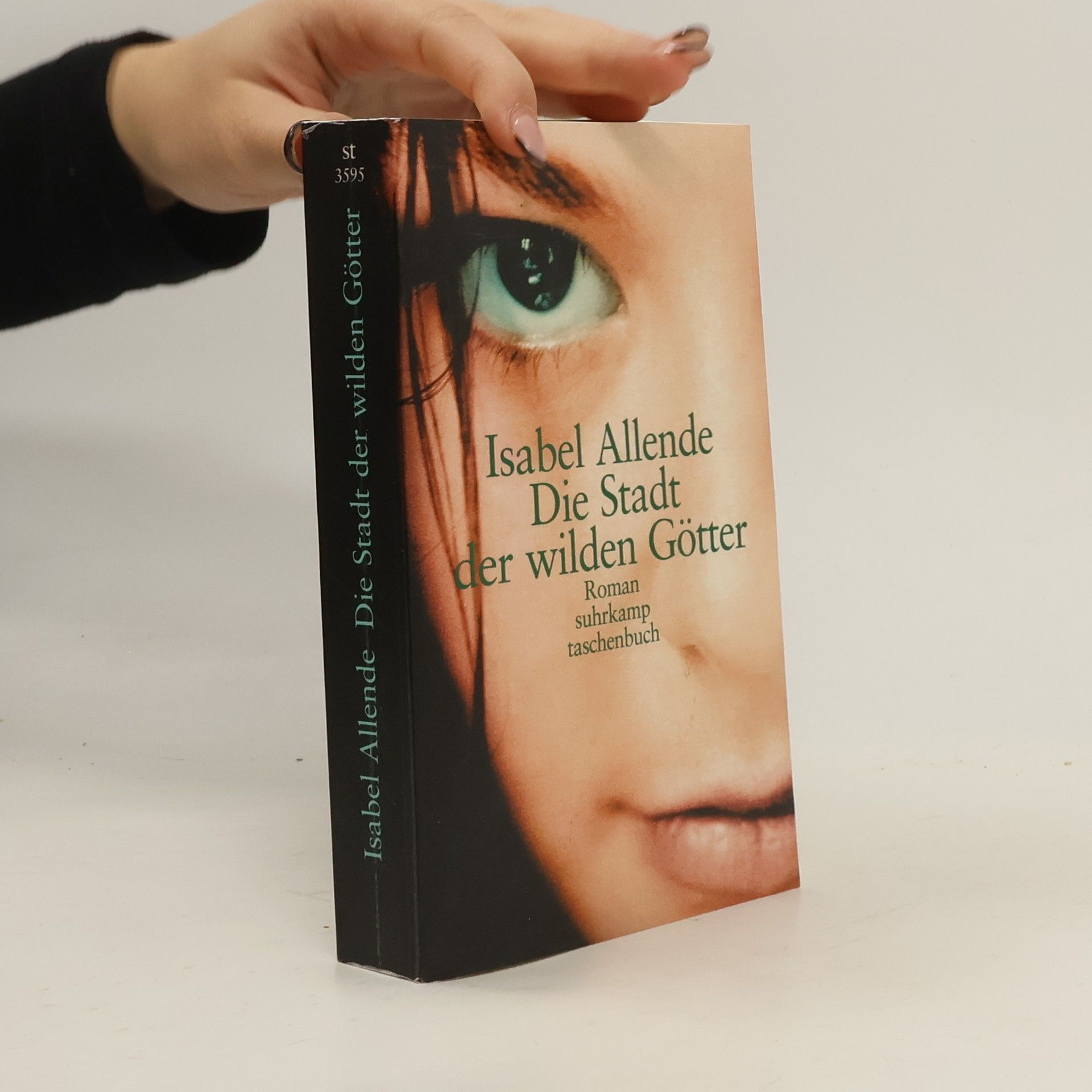 Isabel Allende Llona Die Stadt der wilden Götter