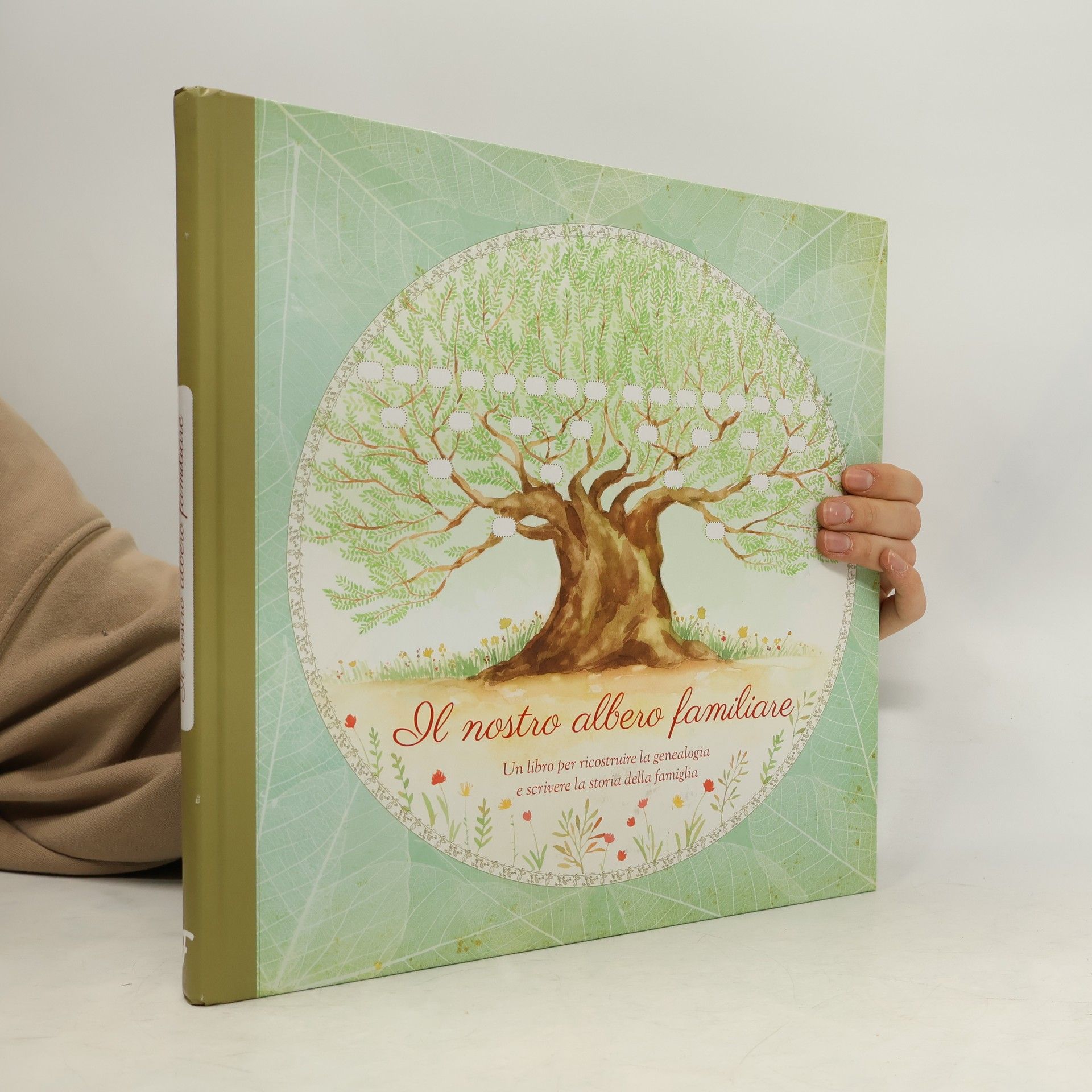 Monika Kopřivová Il nostro albero familiare. Un libro per ricostruire la genealogia e scrivere la storia della famiglia