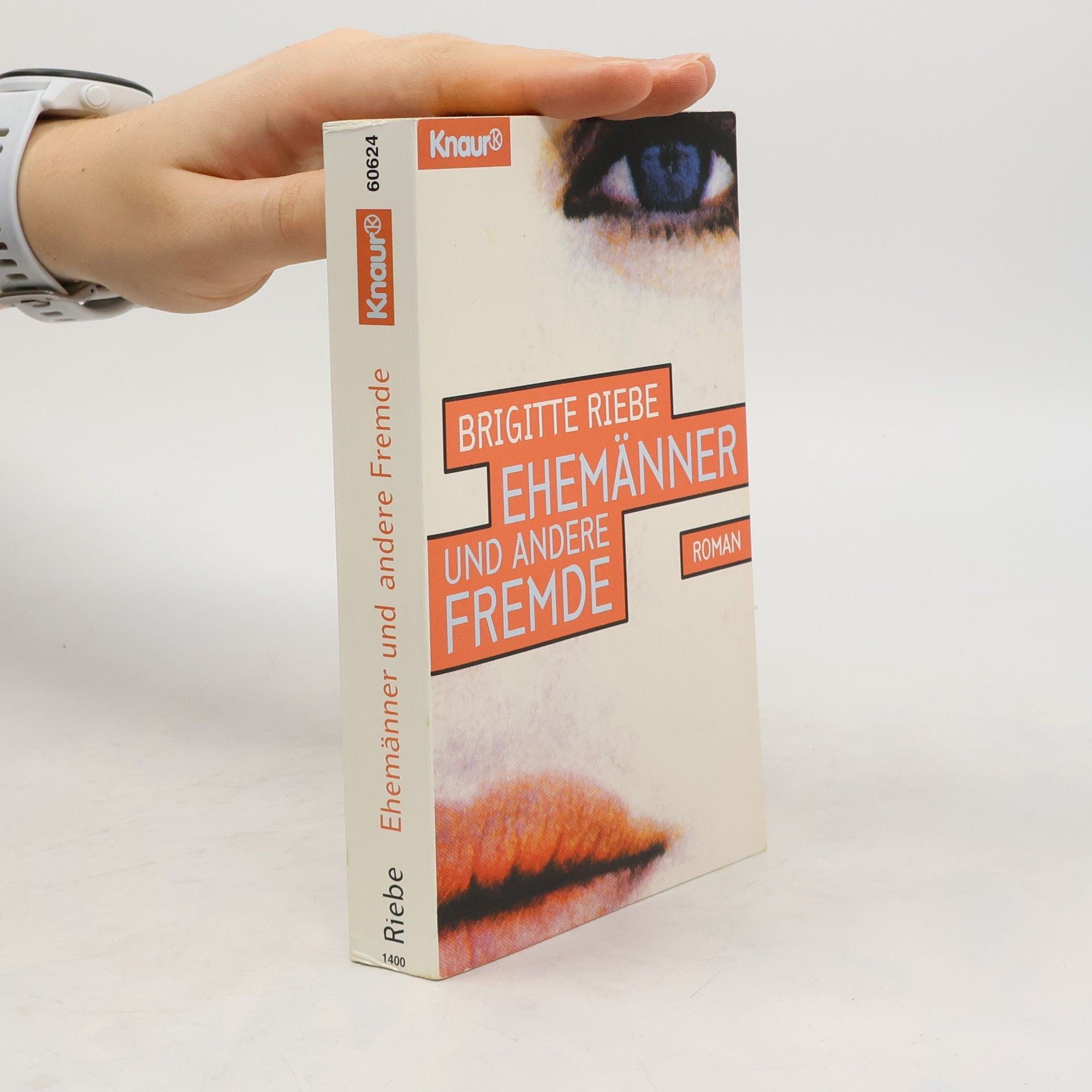 Brigitte Riebe Ehemänner und andere Fremde