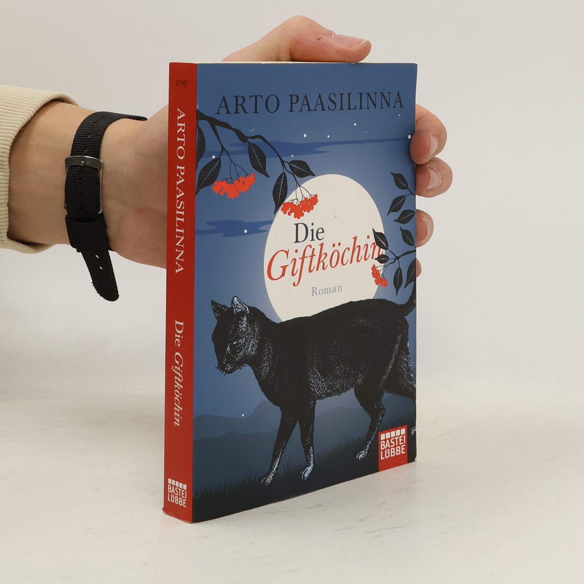 Arto Paasilinna Die Giftköchin