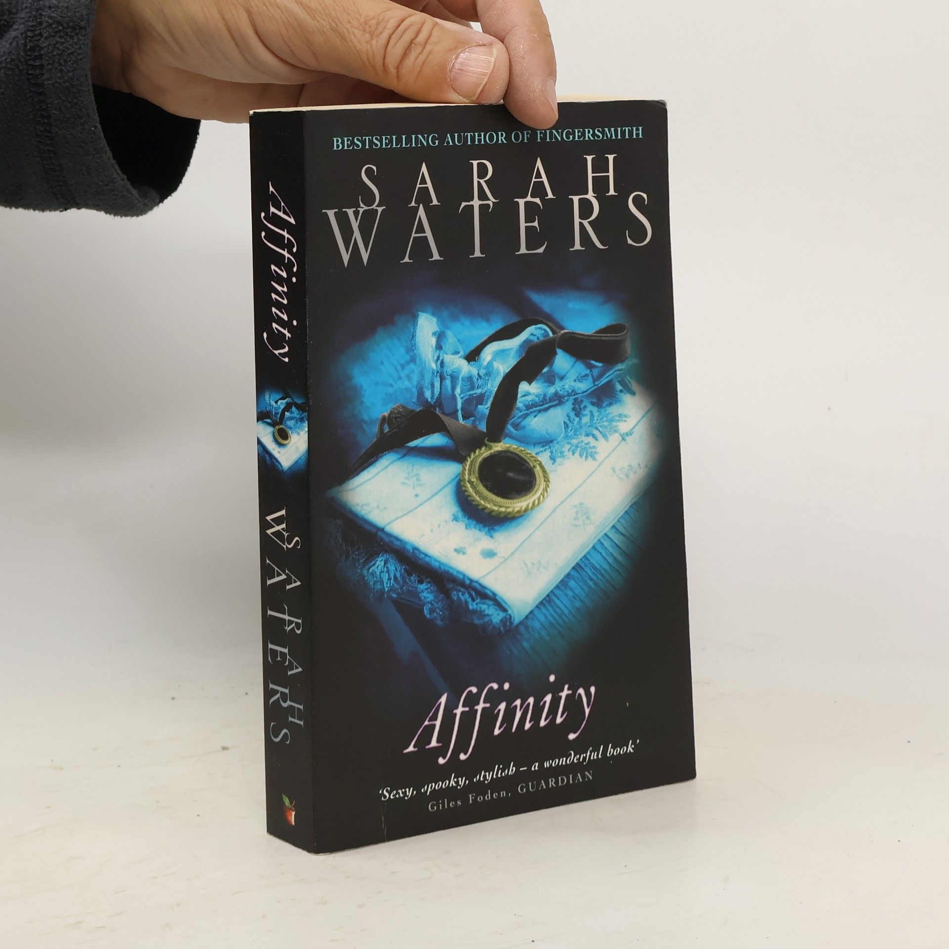 Sarah Waters Affinity