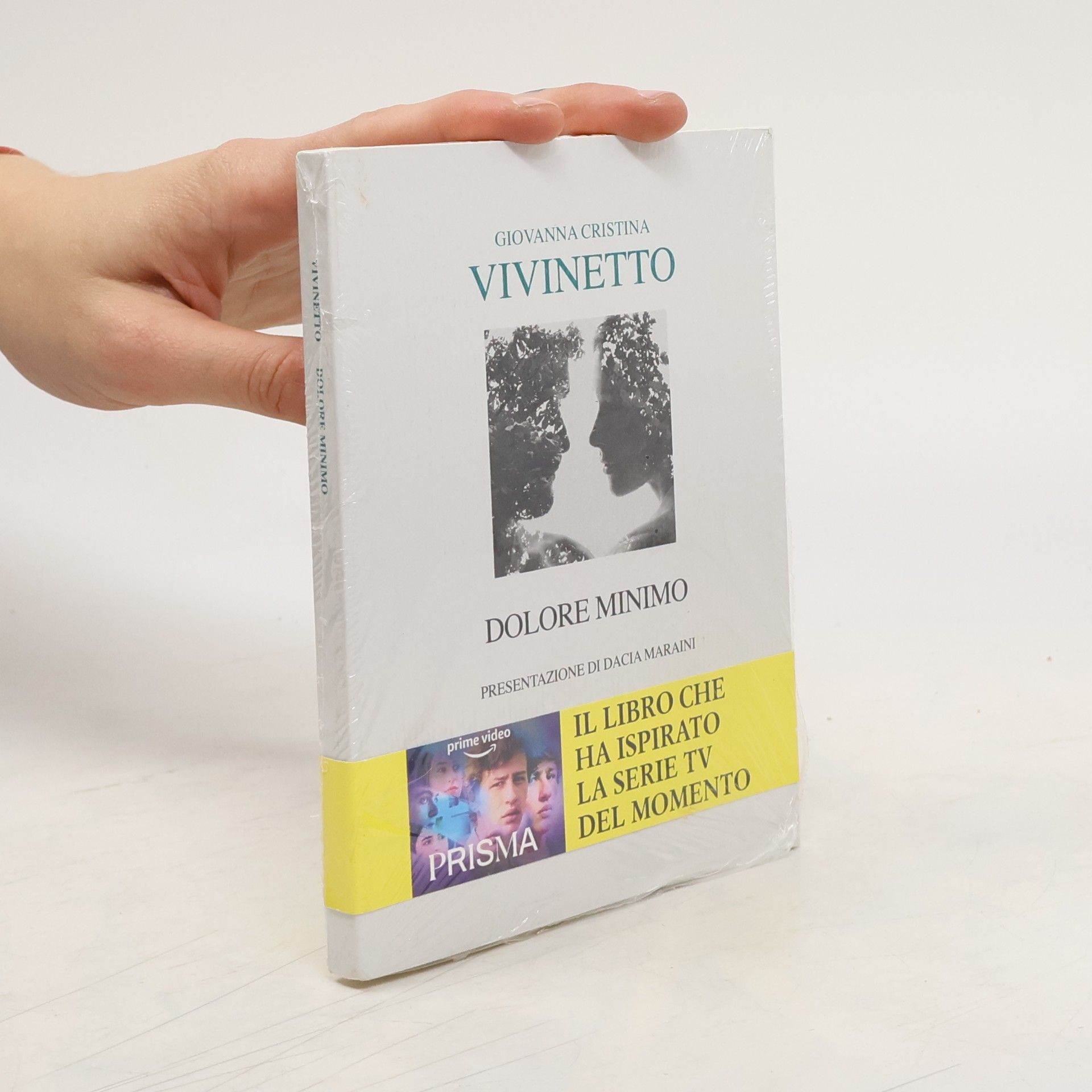 Giovanna Cristina Vivinetto