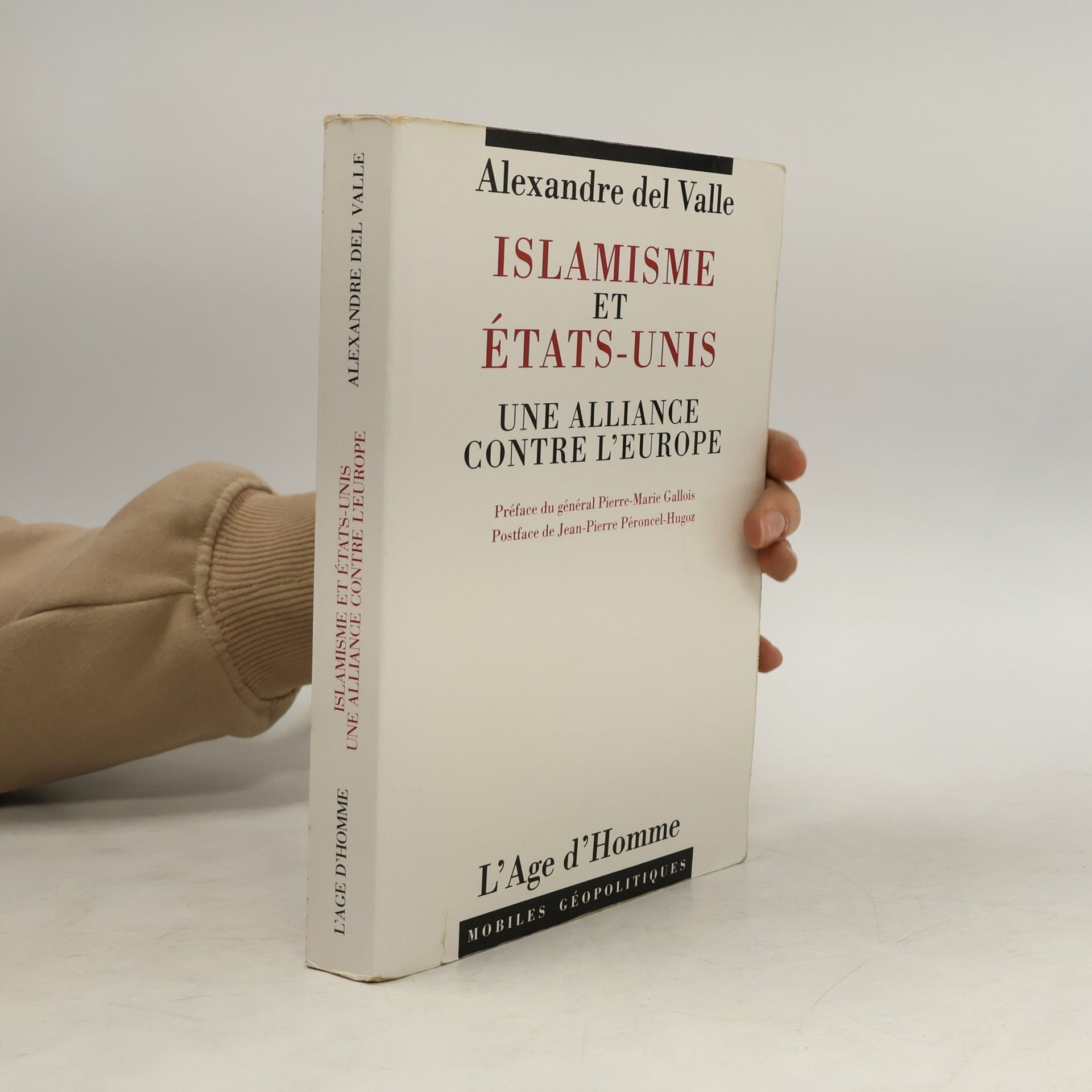 Mobiles Géopolitiques: L' Islamisme et les Etats Unis