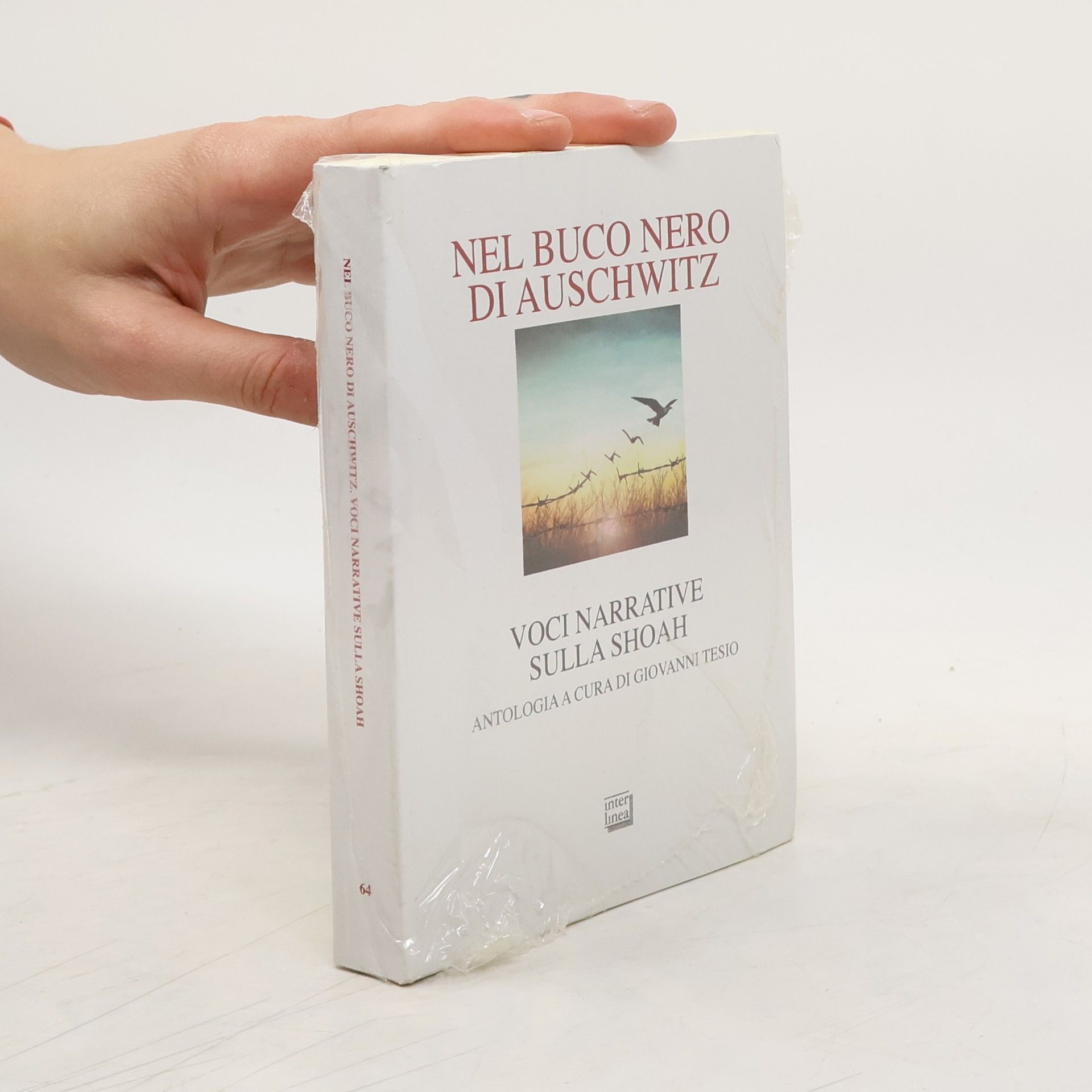 Tesio Giovanni Nel buco nero di Auschwitz. Voci narrative sulla Shoah