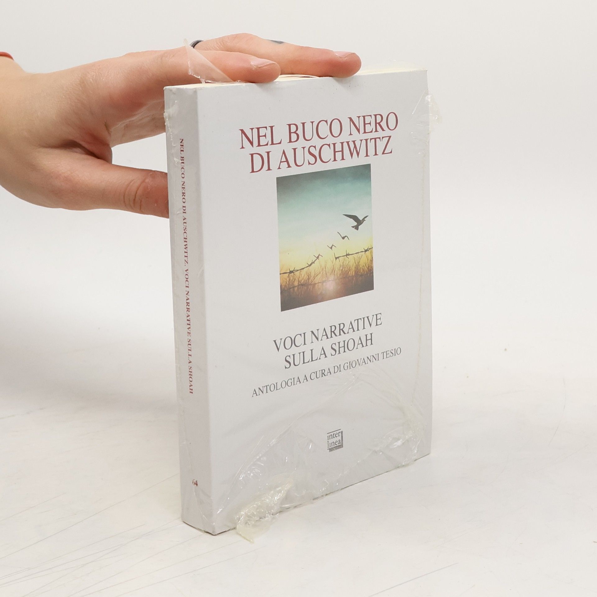 Tesio Giovanni Nel buco nero di Auschwitz. Voci narrative sulla Shoah