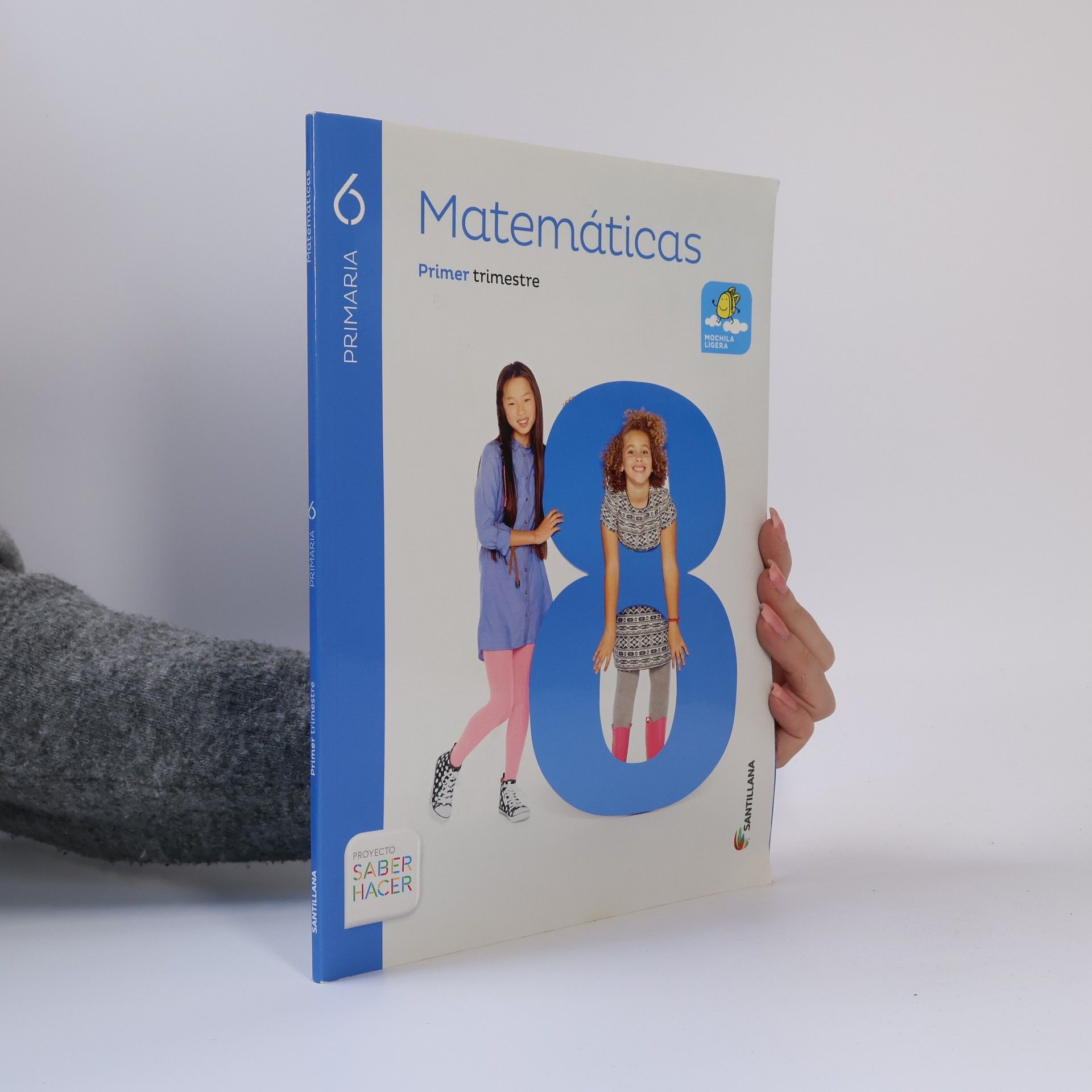 Autores varios Matemáticas 6