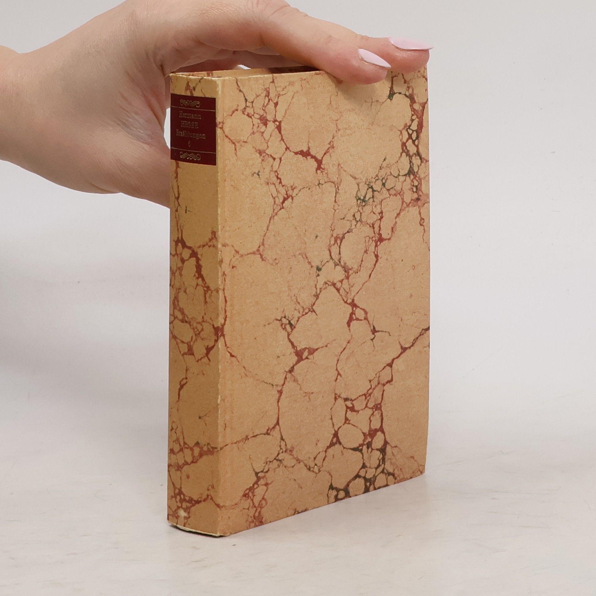 Hermann Hesse Erzählungen. Band 6