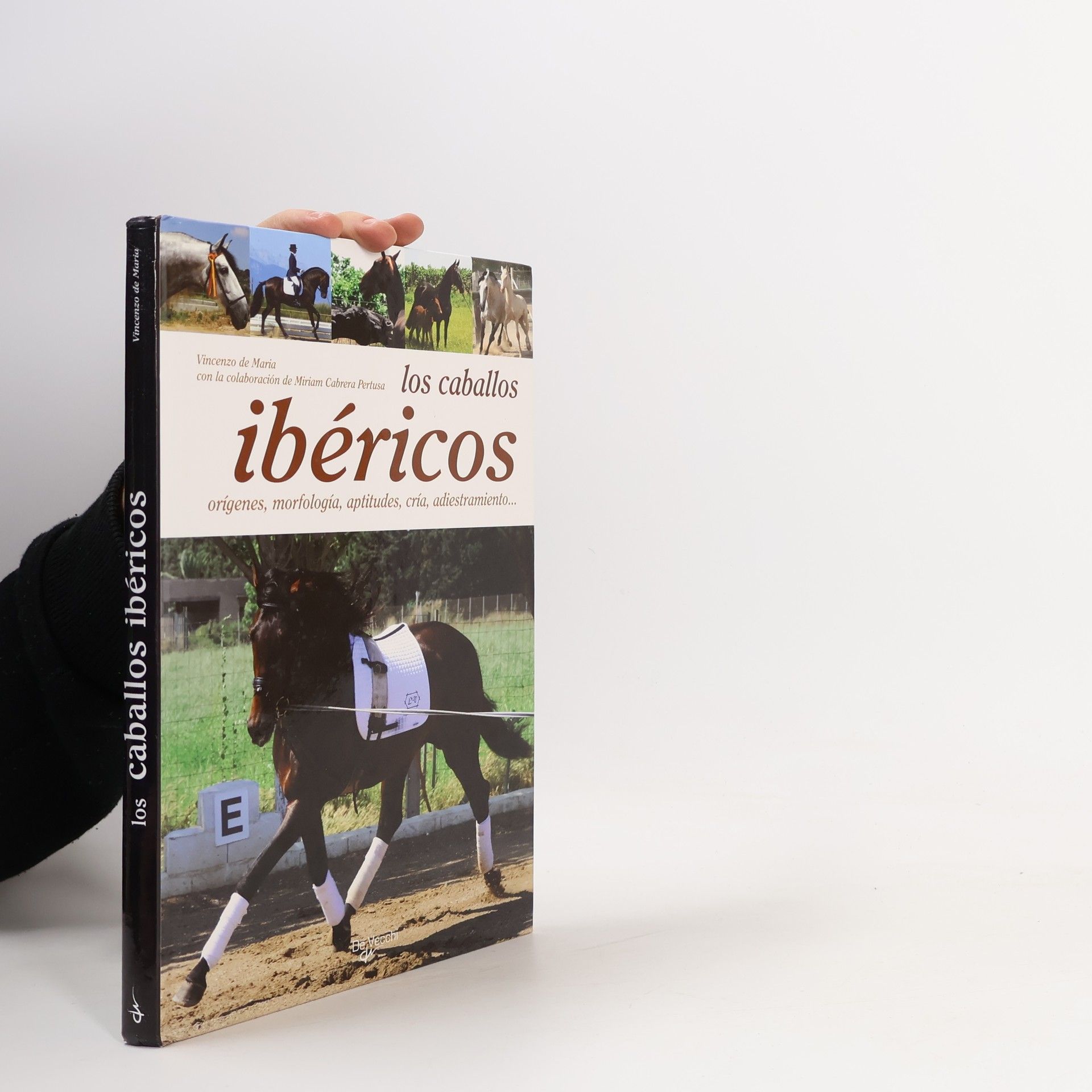 Vincenzo de Maria Saber vivir: Los caballos ibéricos