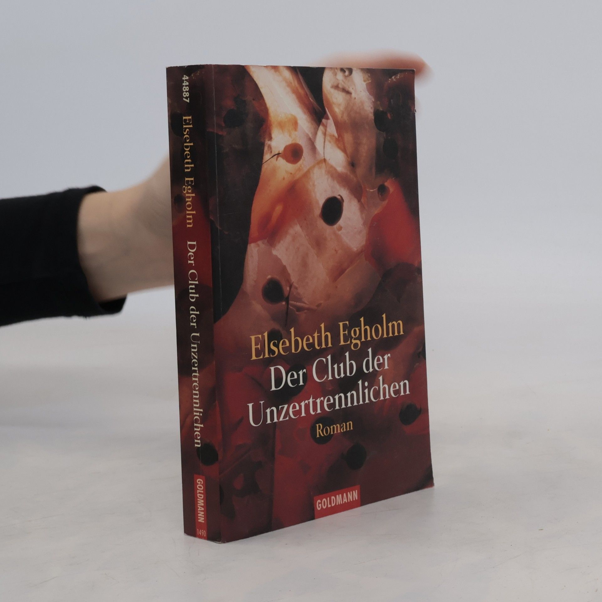 Elsebeth Egholm Der Club der Unzertrennlichen