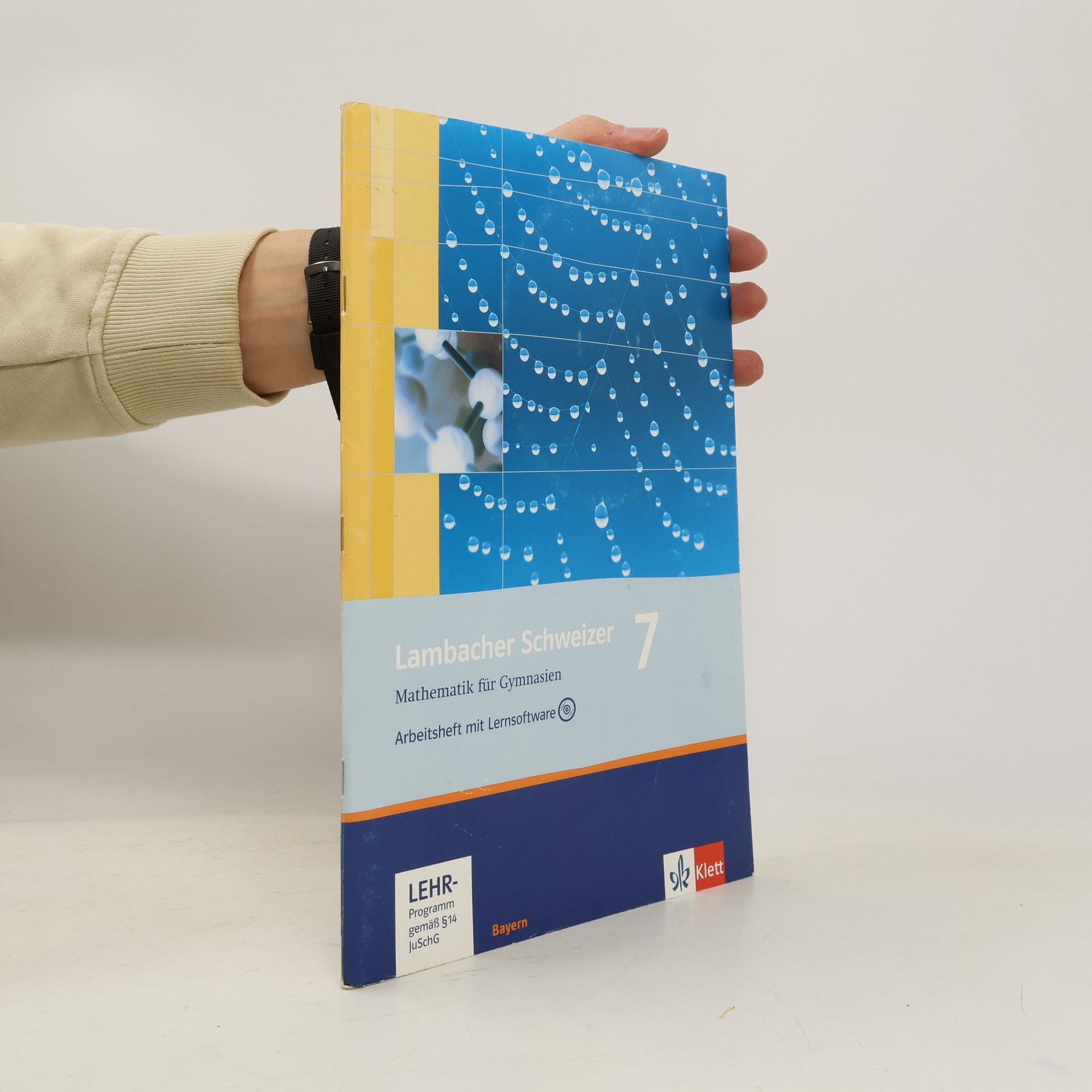 Matthias Dorn 7. Schuljahr, Arbeitsheft m. CD-ROM