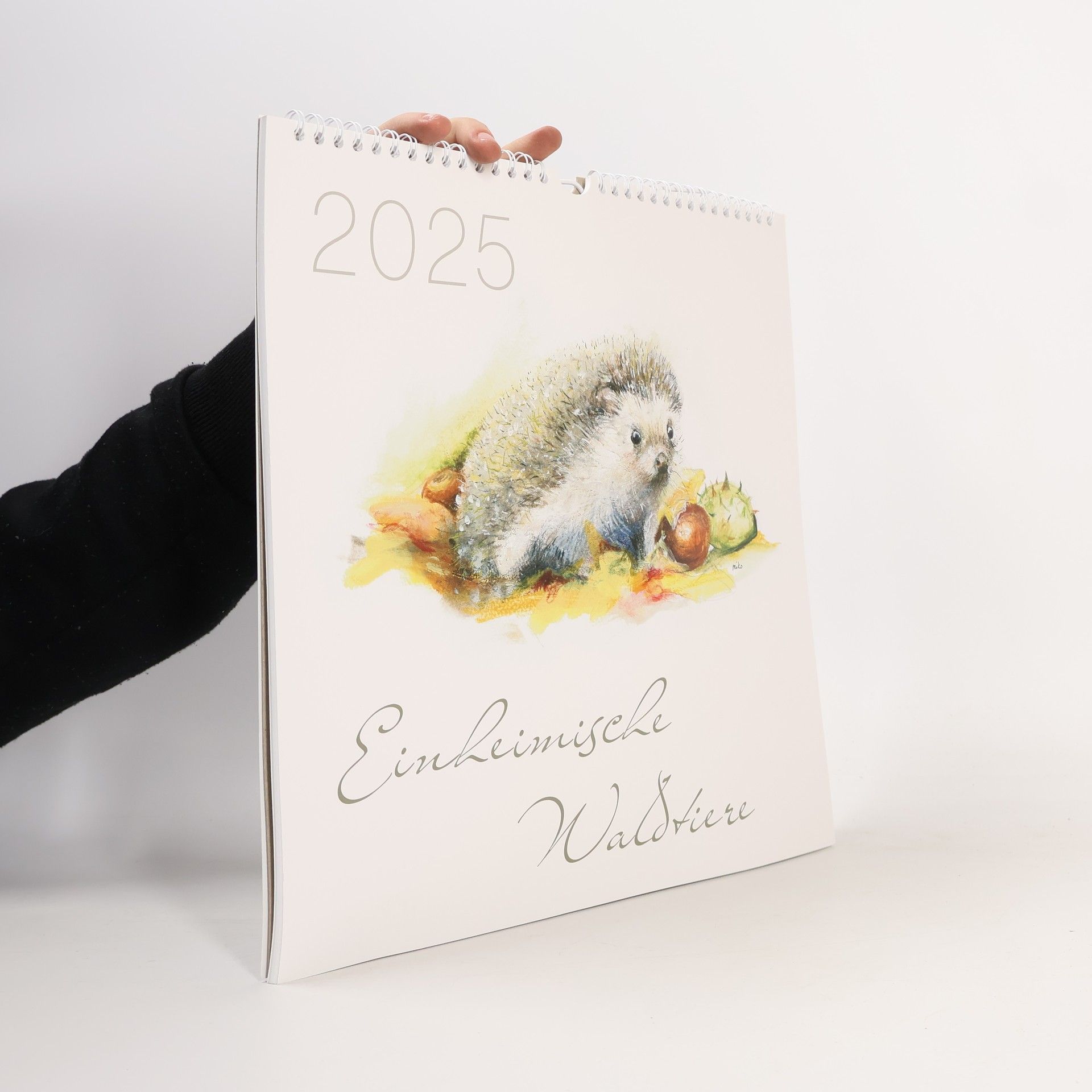 Autorenkollektiv Einheimische Waldtiere 2025