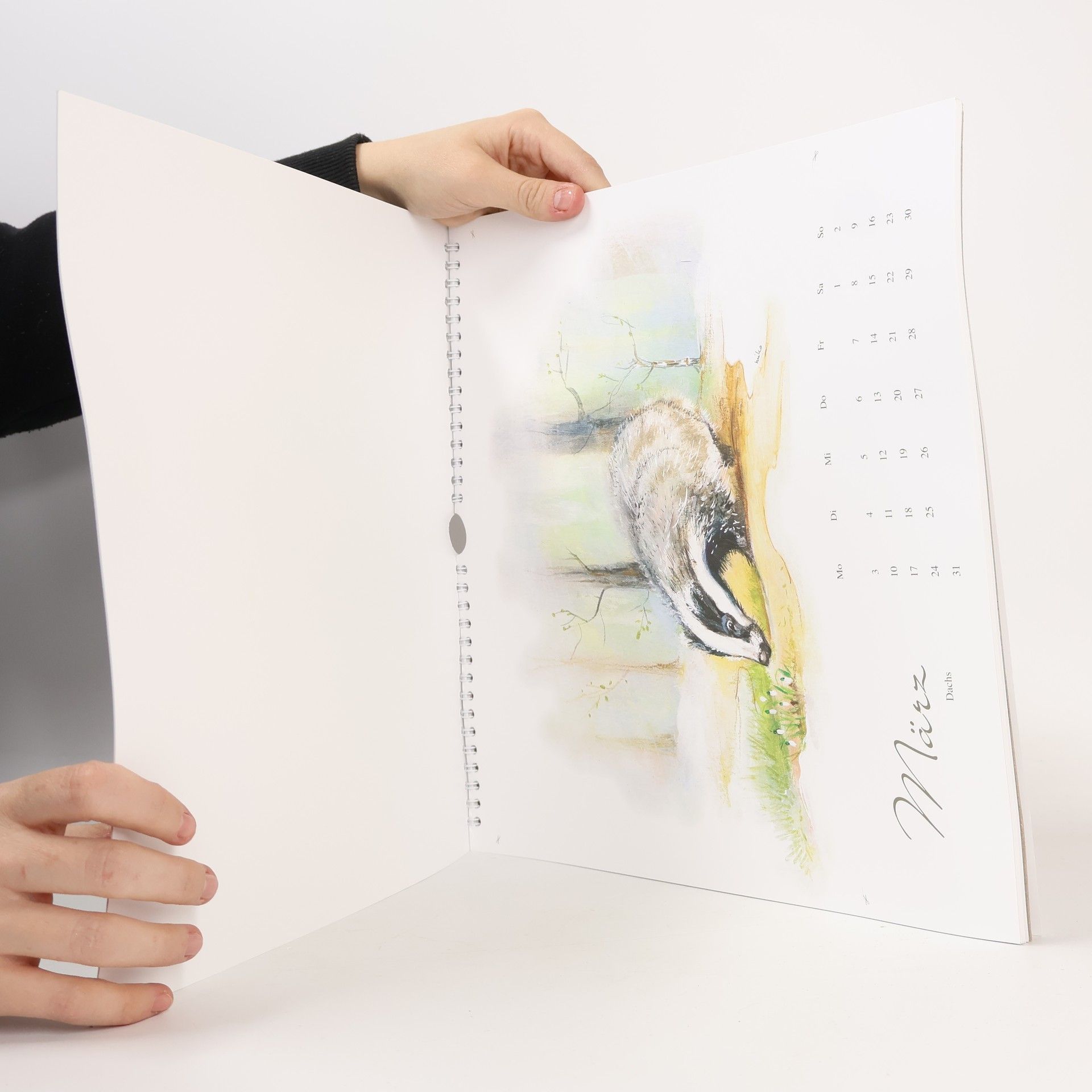 Autorenkollektiv Einheimische Waldtiere 2025