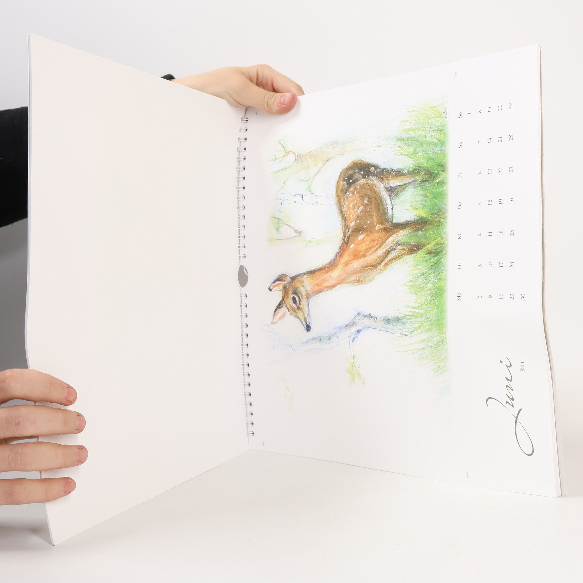 Autorenkollektiv Einheimische Waldtiere 2025