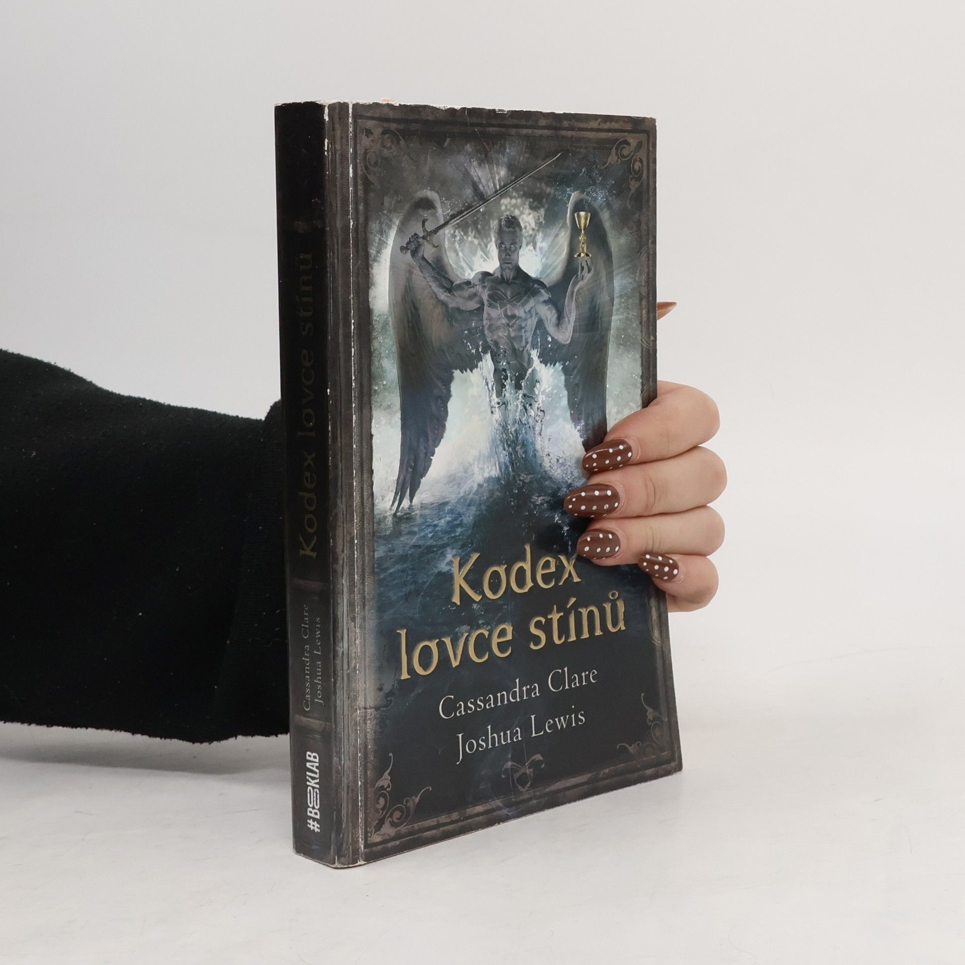 Kodex lovce stínů : soupis tradic a zákonů nefilim, vyvolených andělem Razielem