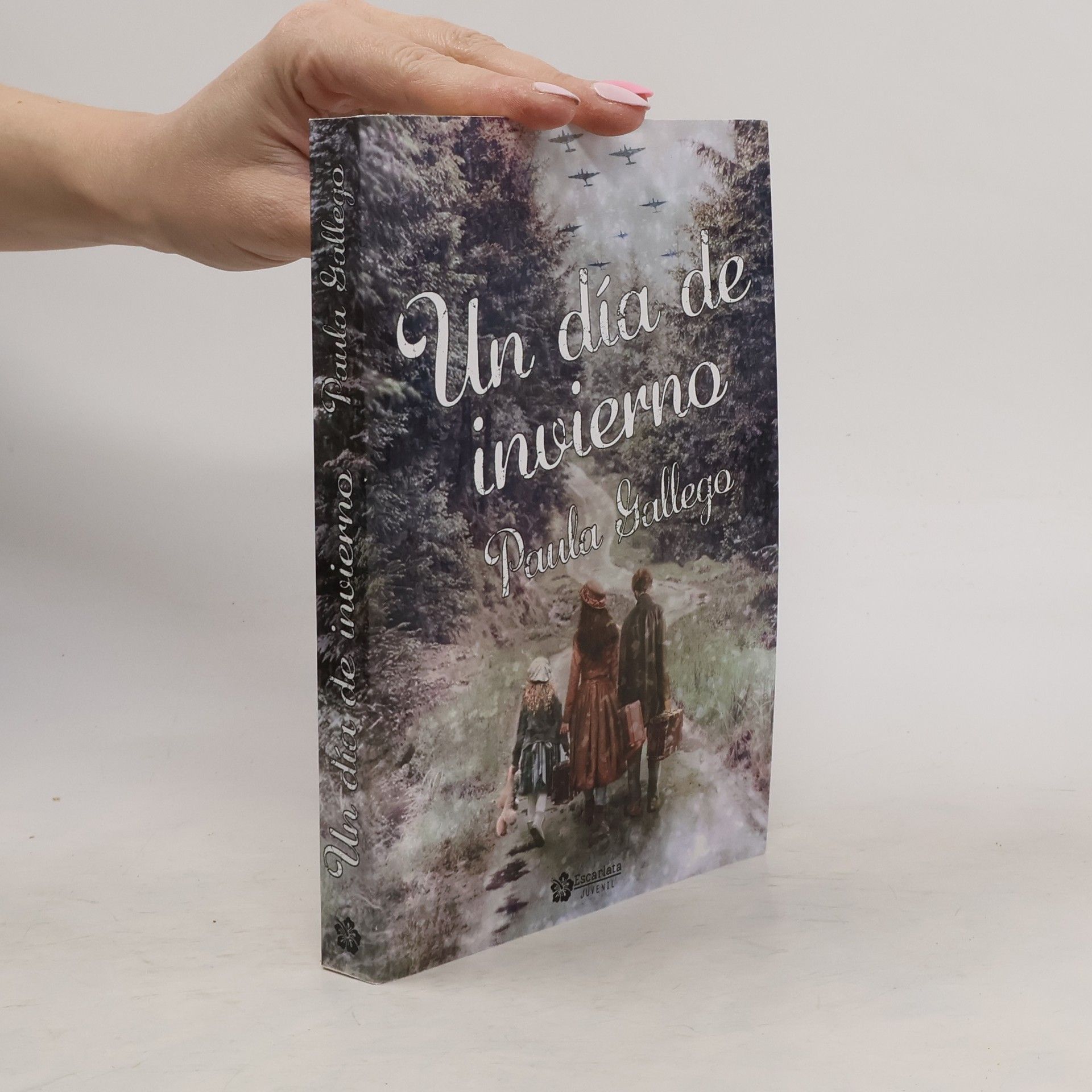 Paula Gallego Un día de invierno