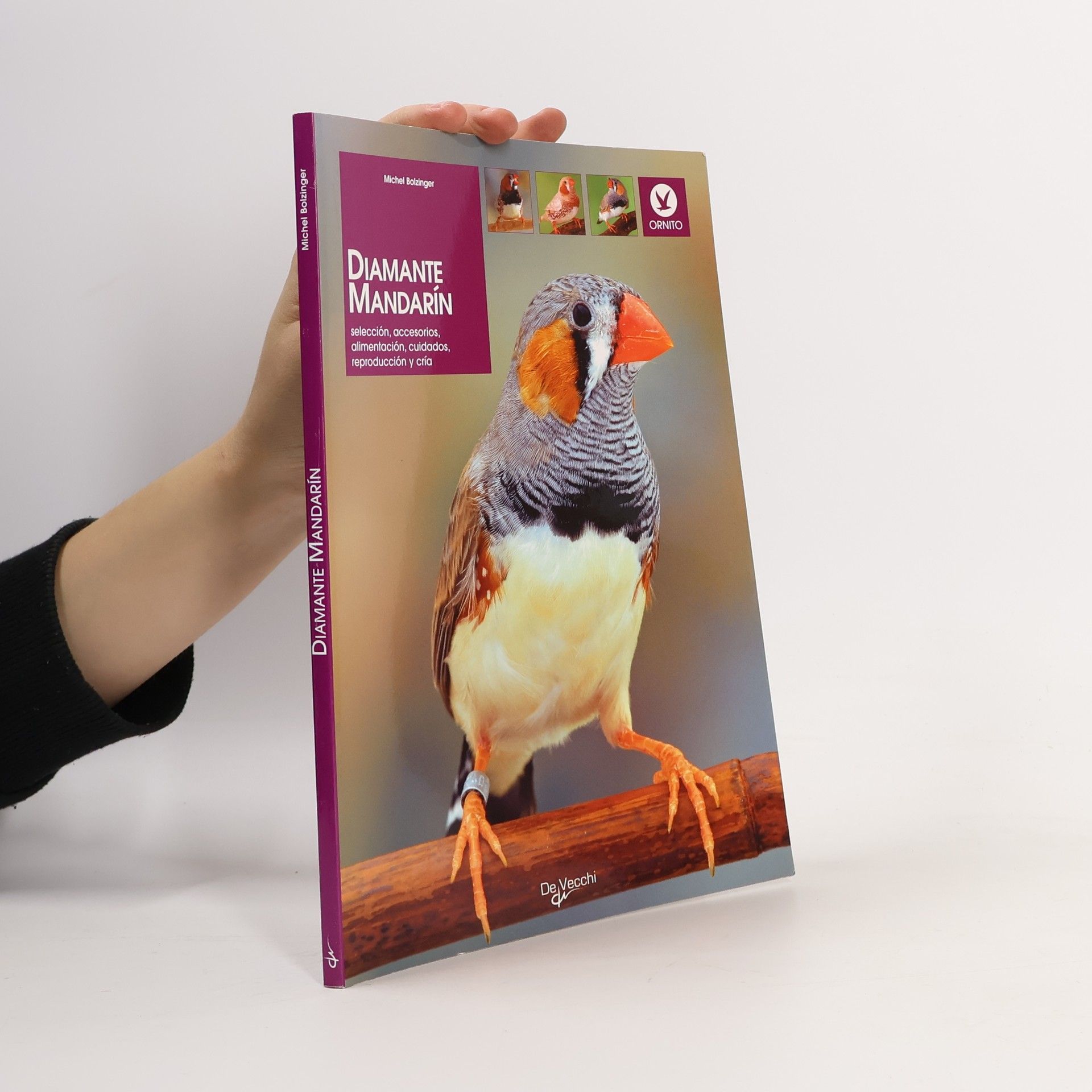 Michel Bolzinger Animales: Diamante mandarín