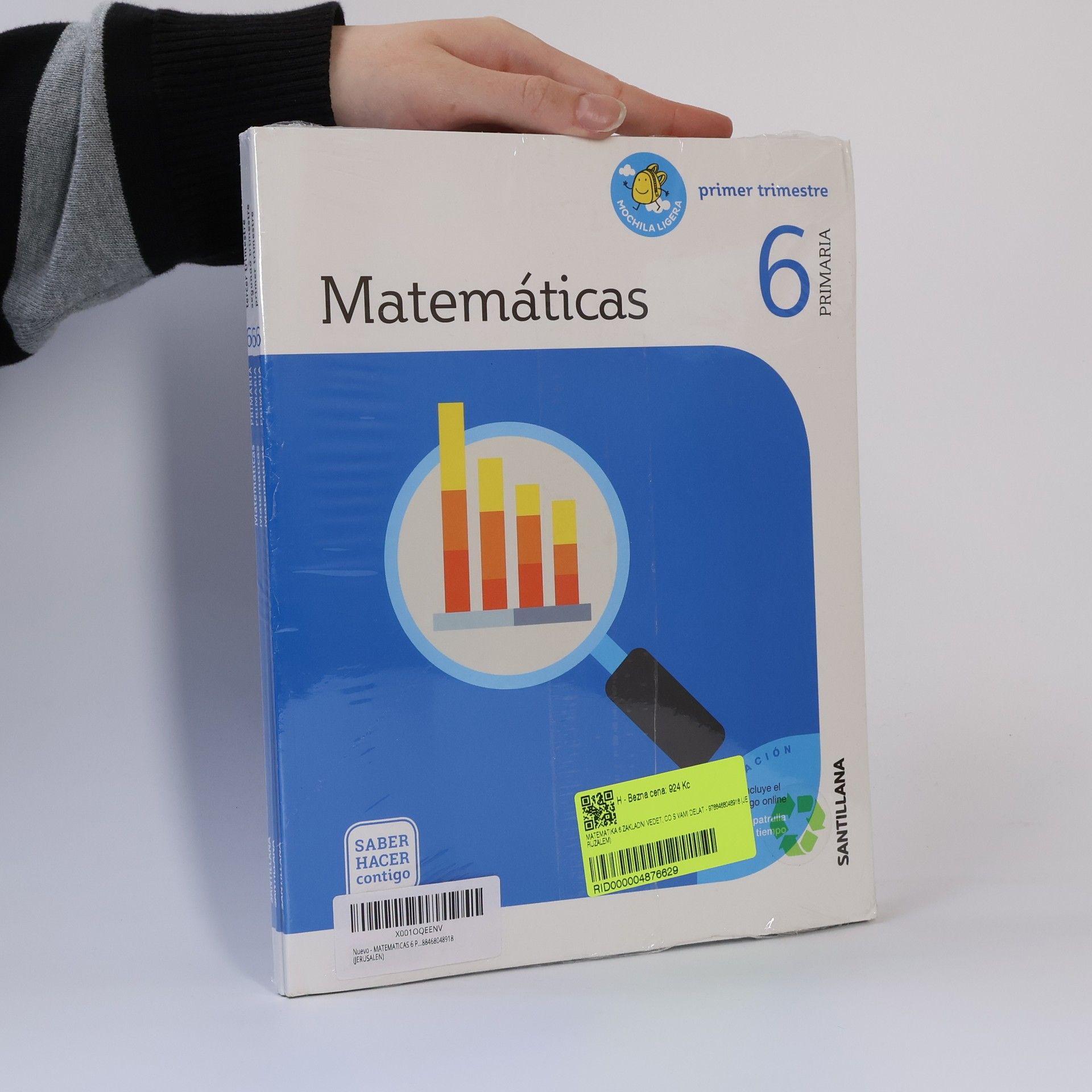 Various authors Matemáticas 6