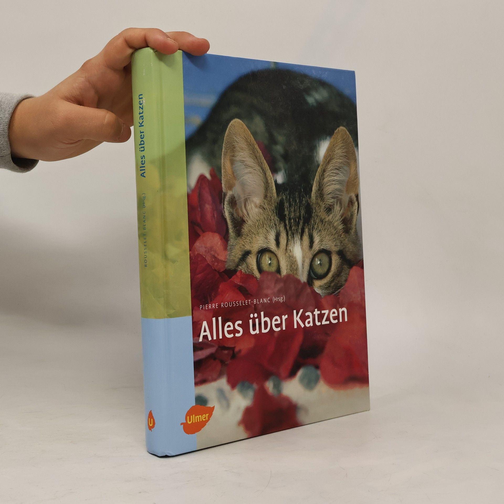 Alles über Katzen