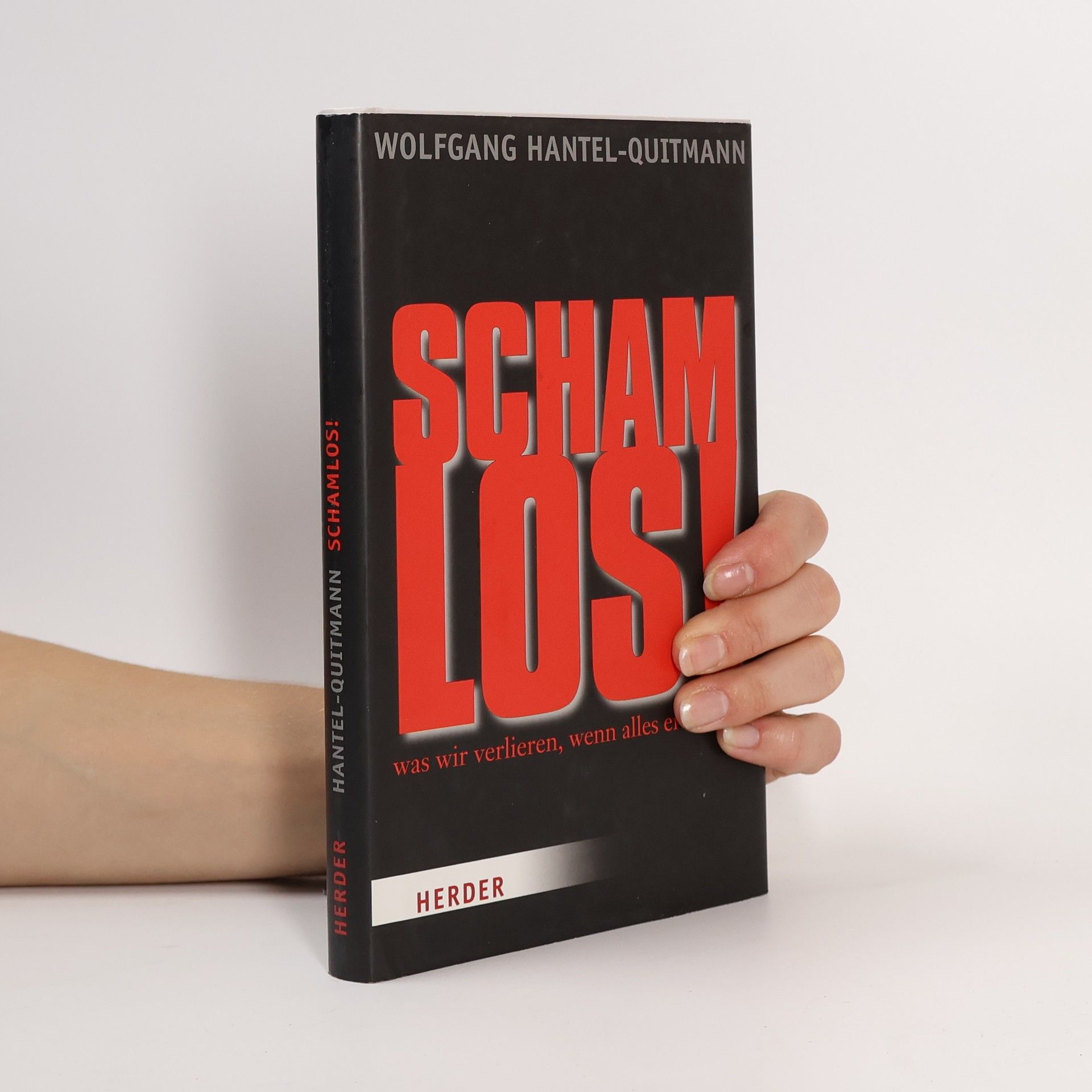 Wolfgang Hantel-Quitmann Schlamlos! Was wir verlieren, wenn alles erlaubt ist