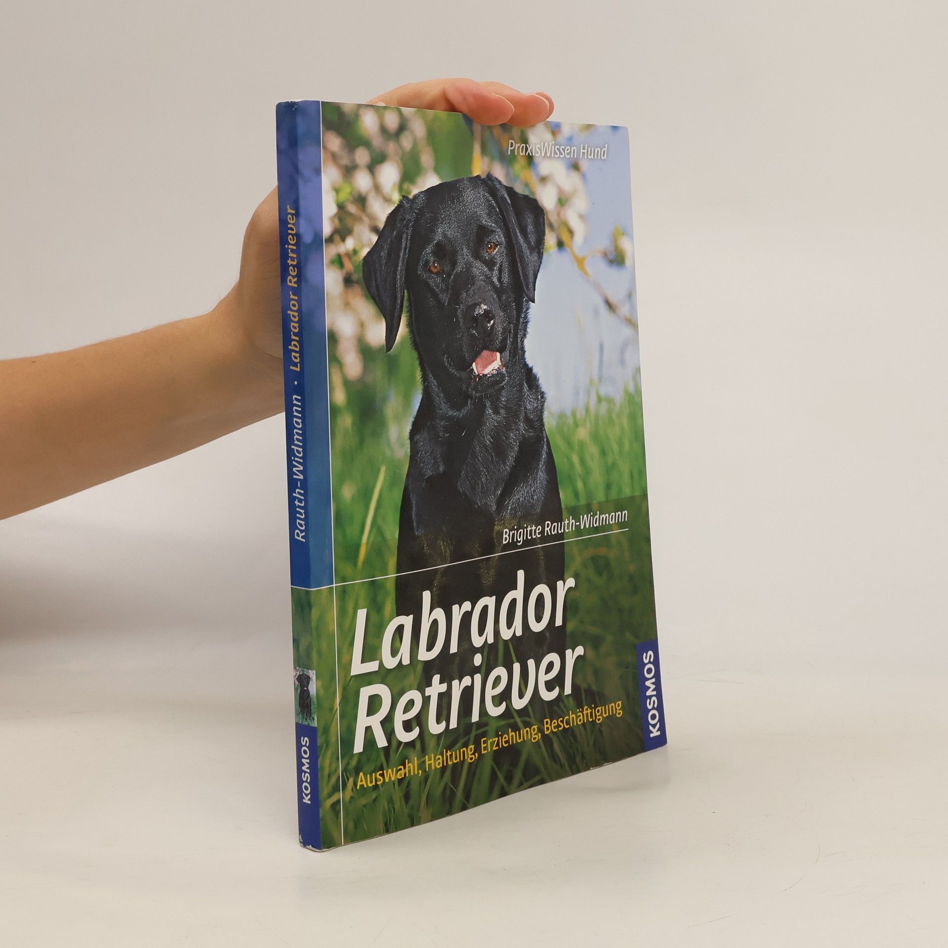 Brigitte Rauth-Widmann Labrador Retriever