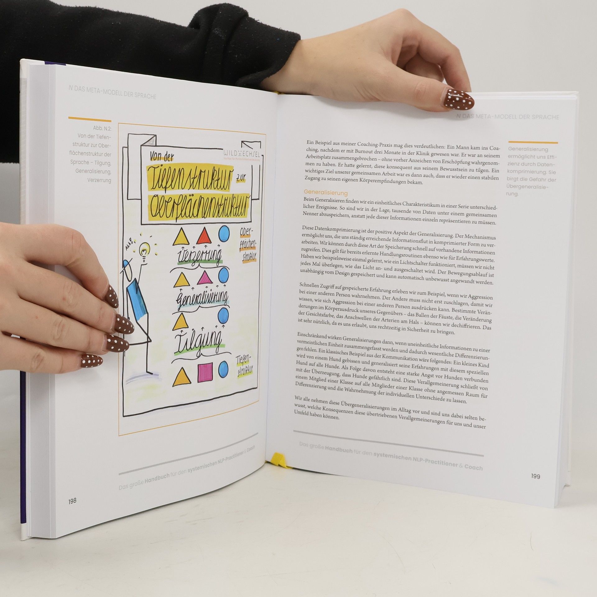 Susanne Lapp Das große Handbuch für den systemischen NLP-Practitioner & Coach