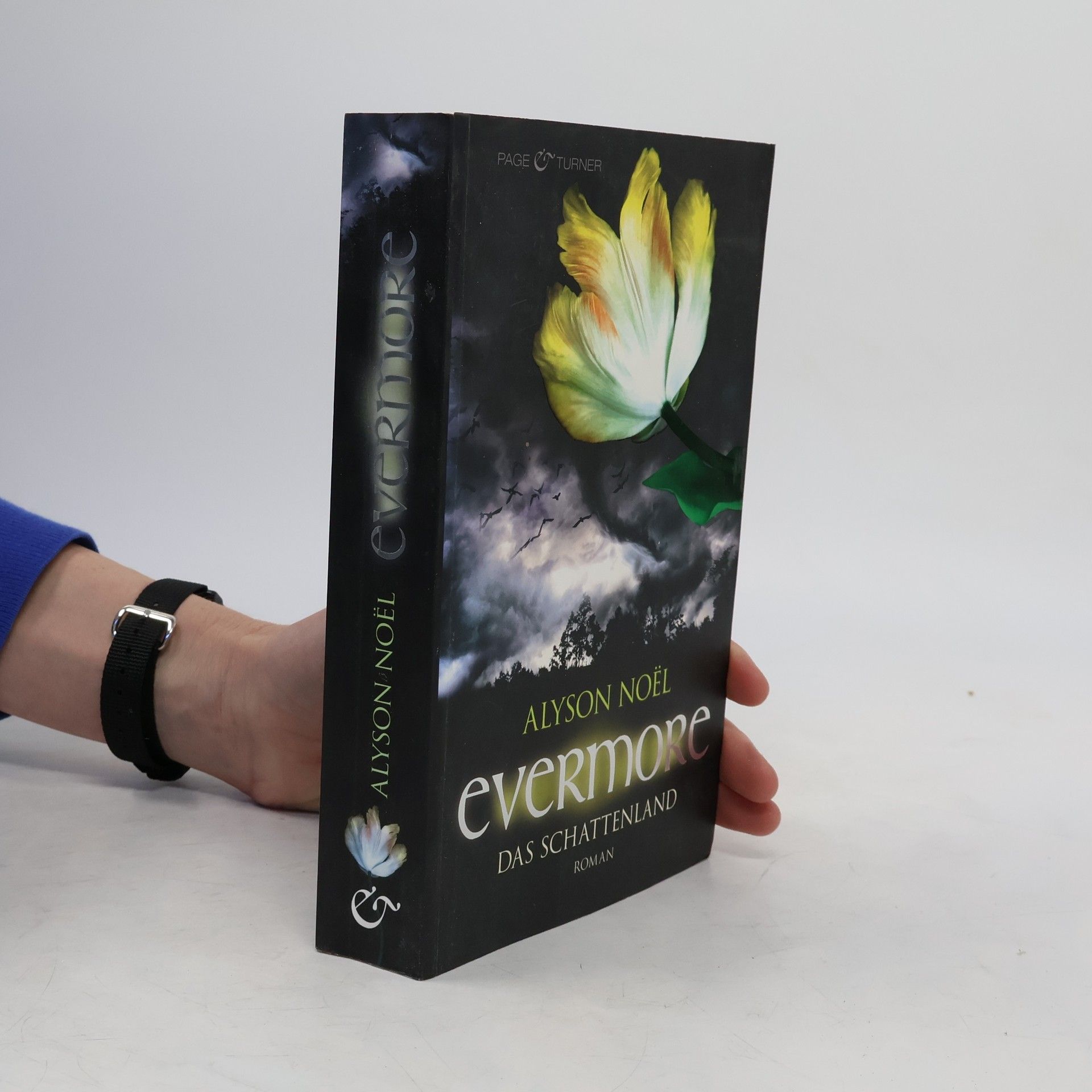 Alyson Noël Evermore: Das Schattenland