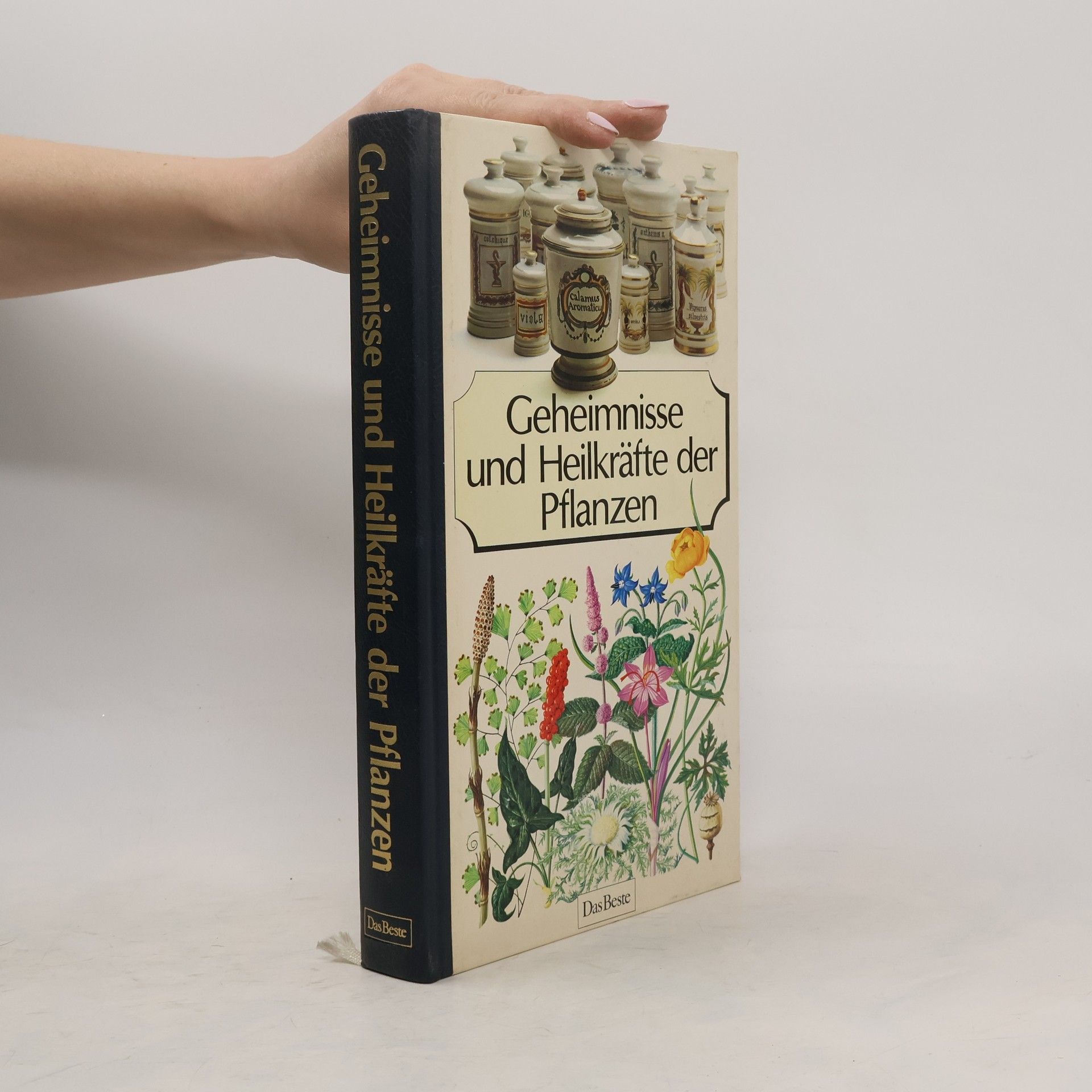Autorenkollektiv Geheimisse und Heilkräfte der Pflanzen