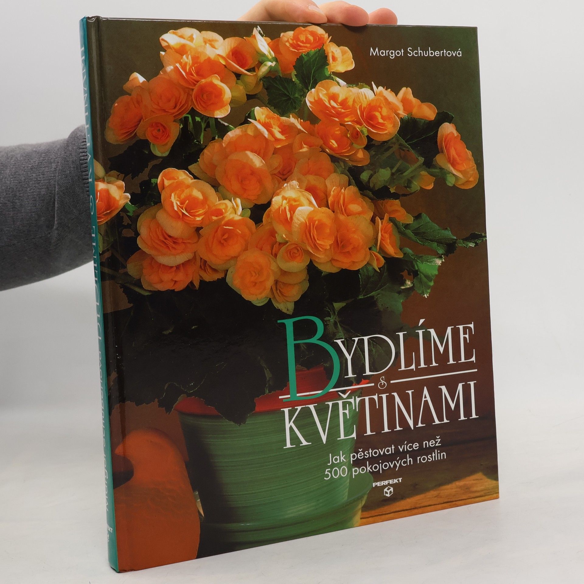 Auteurscollectief Bydlíme s květinami