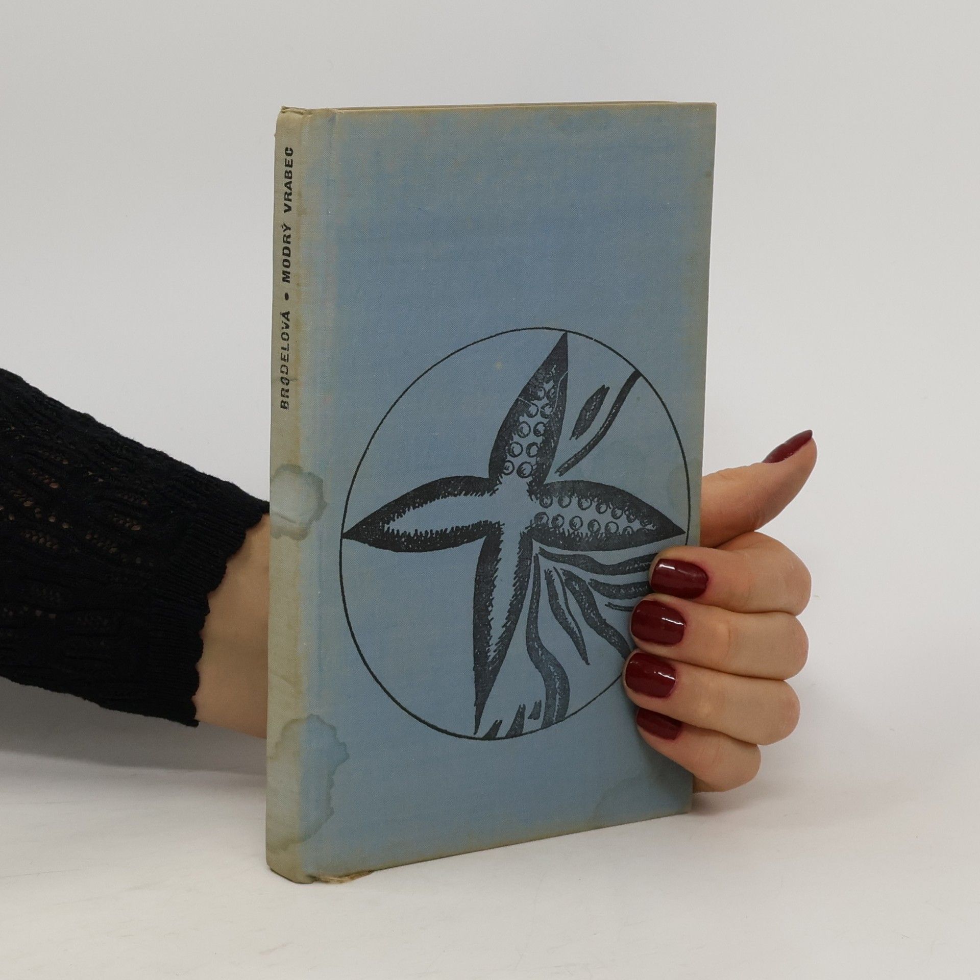 Anna Brodele Modrý vrabec