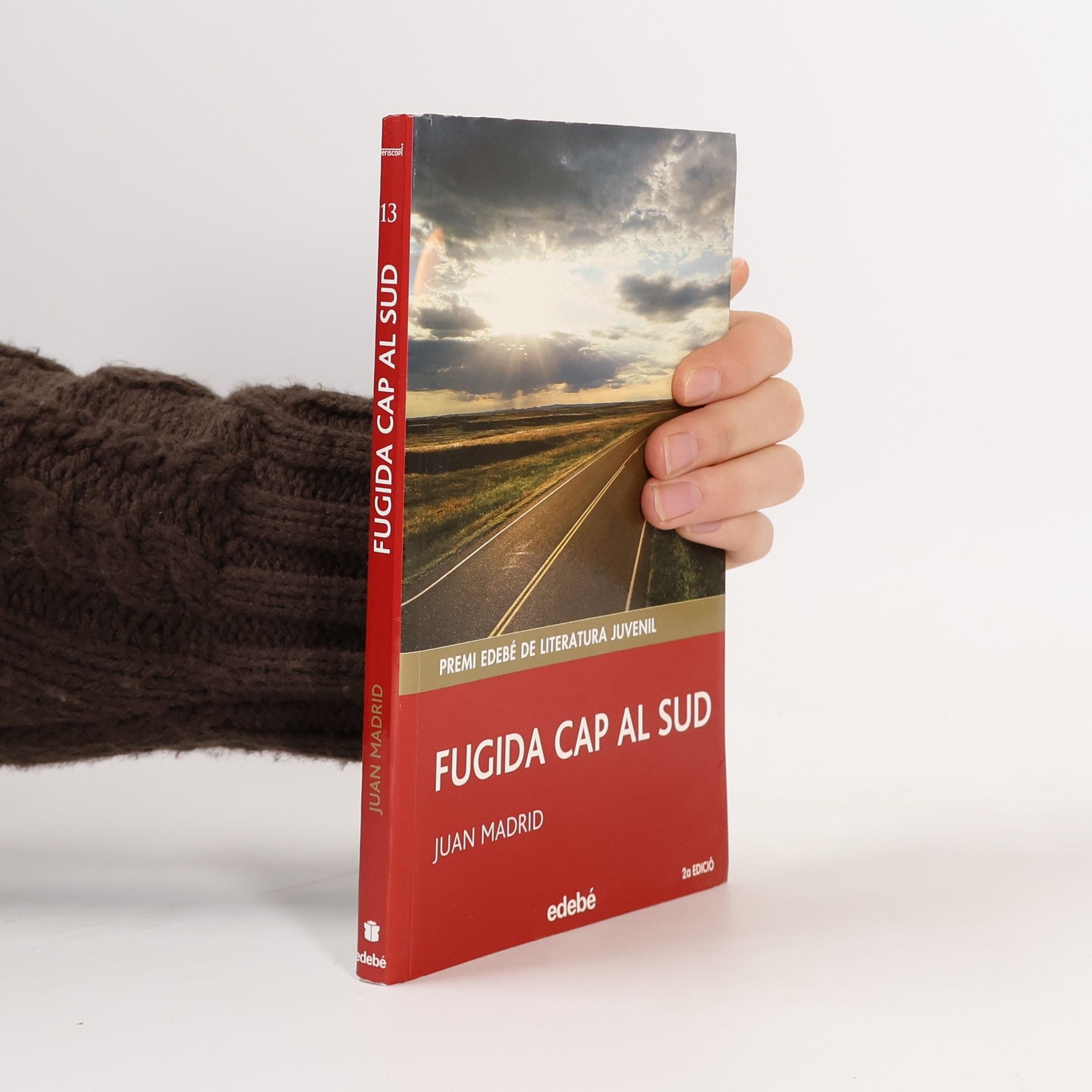 Juan Madrid Fugida cap al Sud