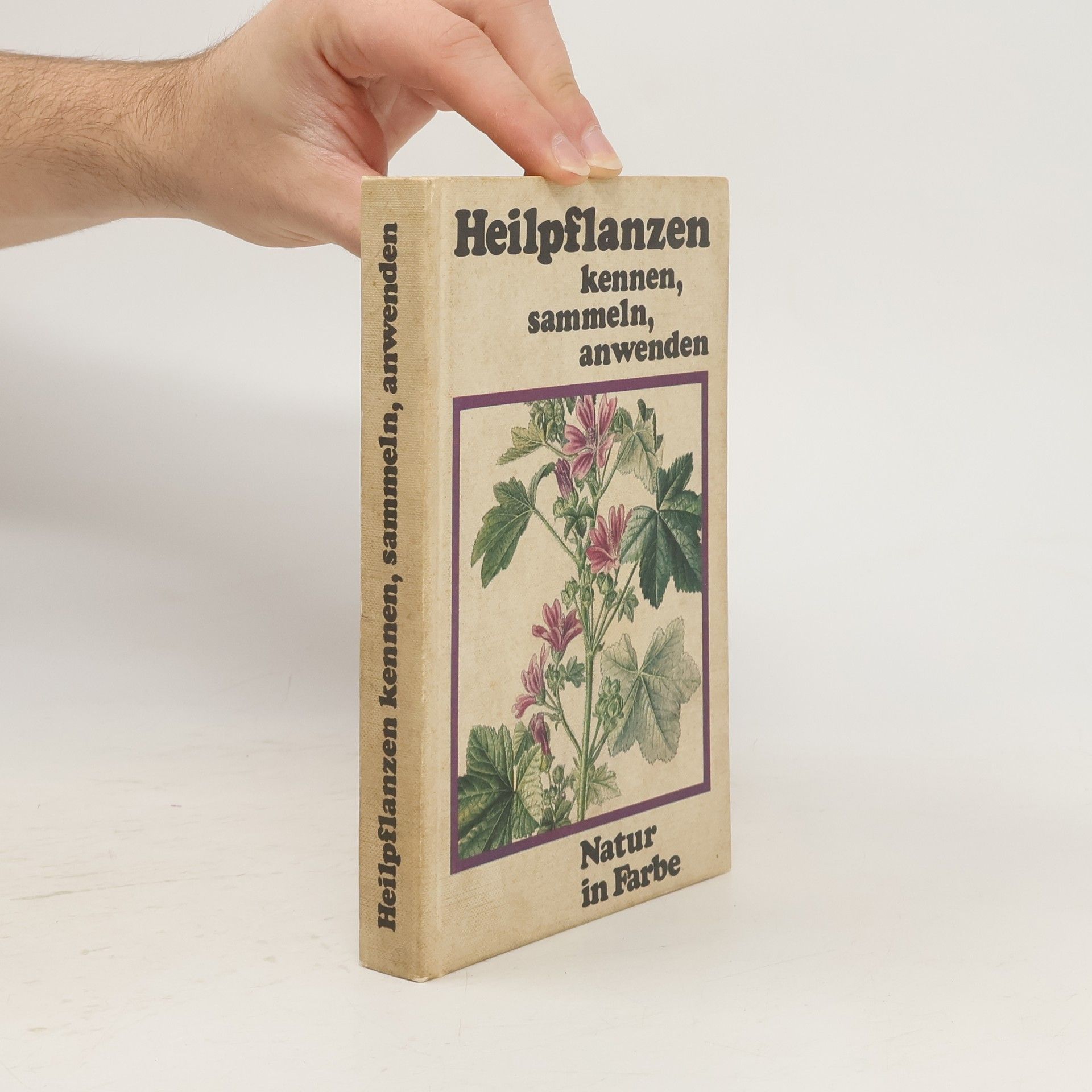 Kolektiv autorů Heilpflanzen kennen, sammeln, anwenden