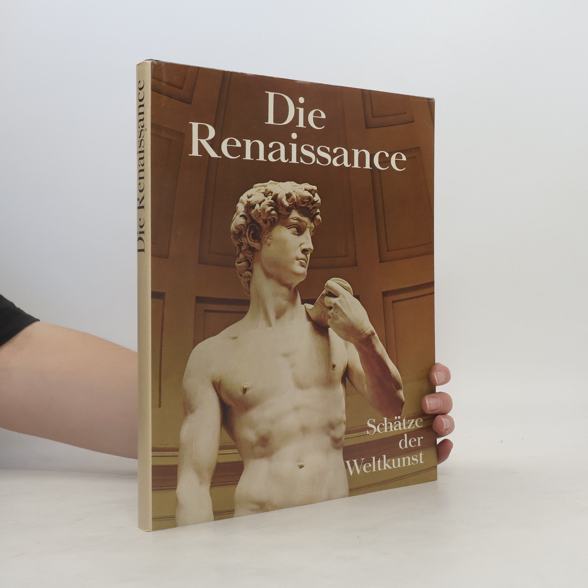 Auteurscollectief Die Renaissance
