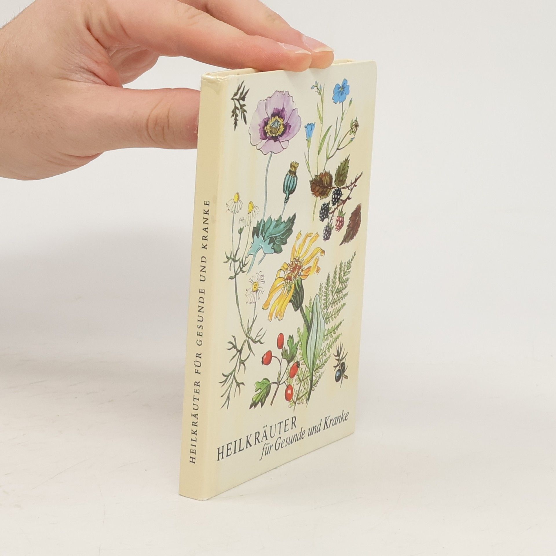 Collectif d'auteurs Heilkräuter für Gesunde und Kranke