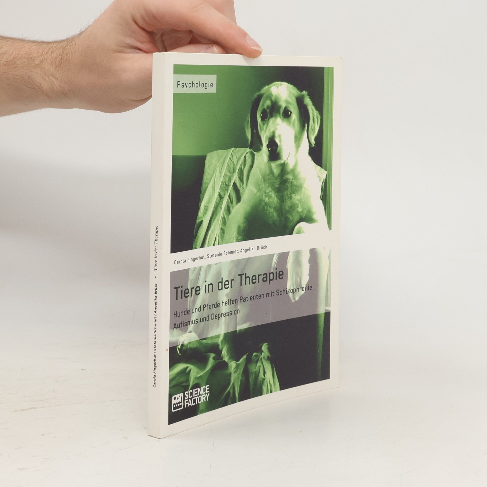 Carola Fingerhut Tiere in der Therapie. Hunde und Pferde helfen Patienten mit Schizophrenie, Autismus und Depression