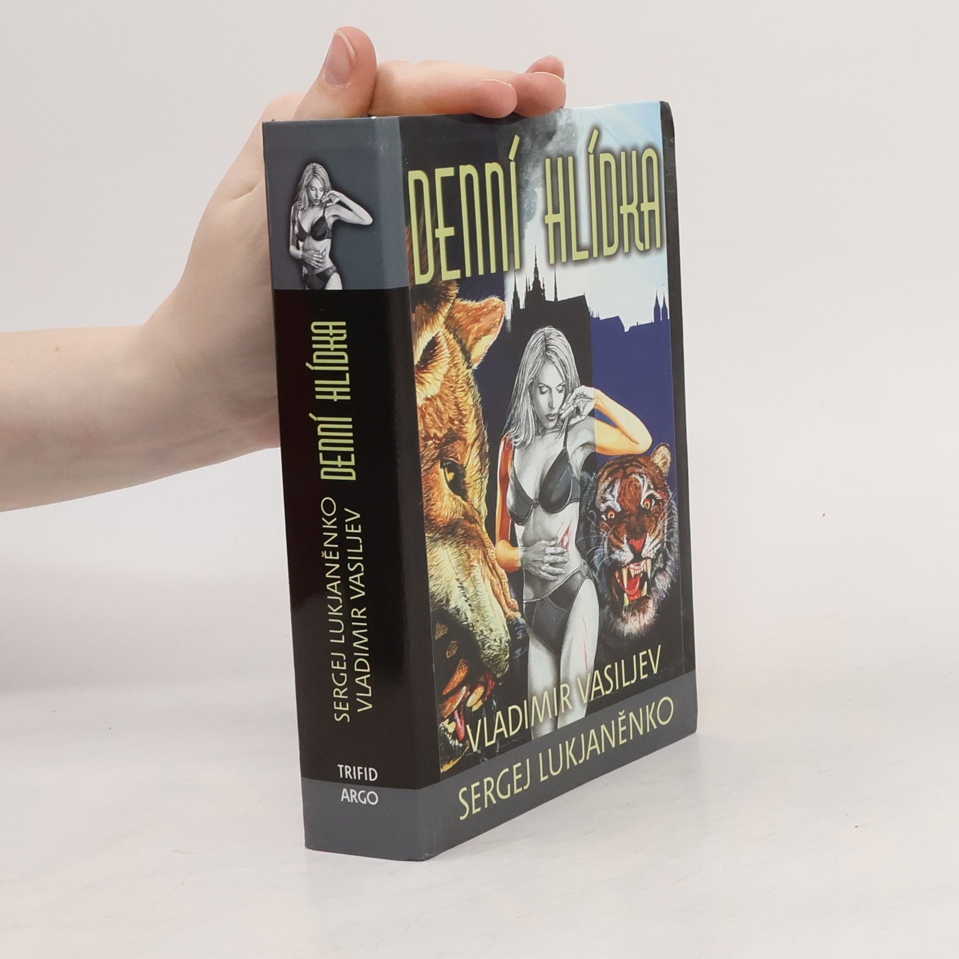 Sergej Vasiljevič Lukjaněnko Denní hlídka