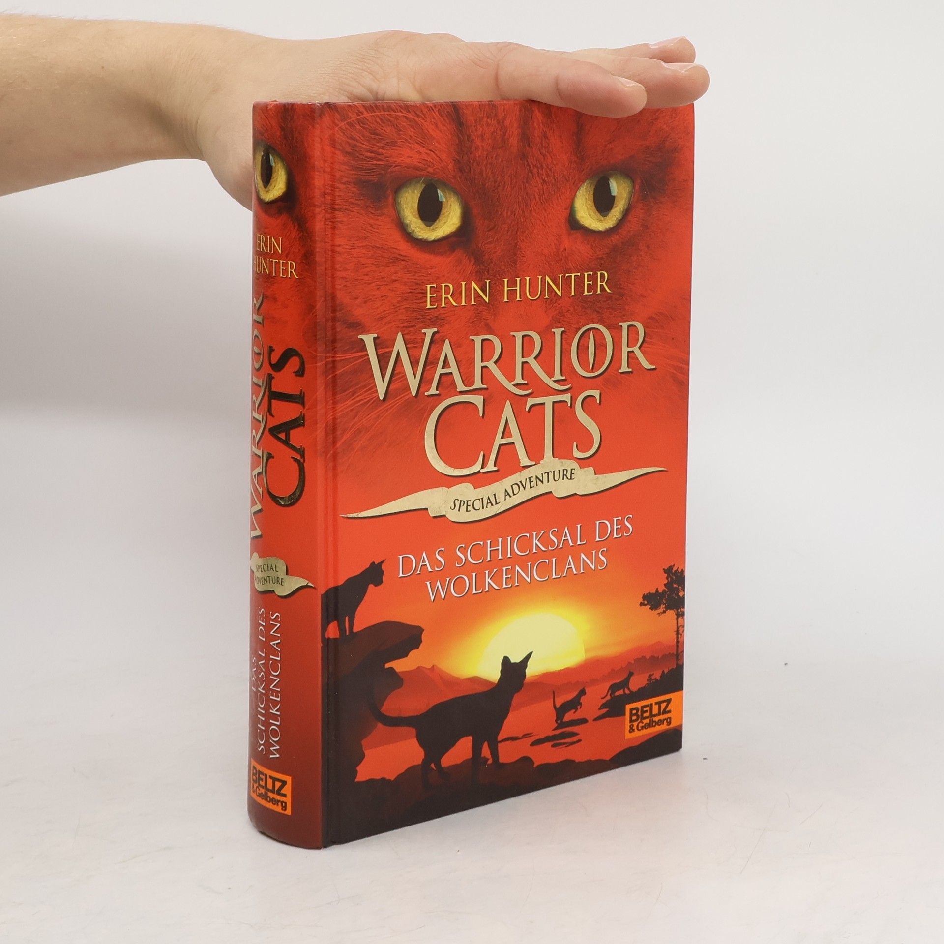 Erin Hunter Warrior Cats: Das Schicksal des WolkenClans