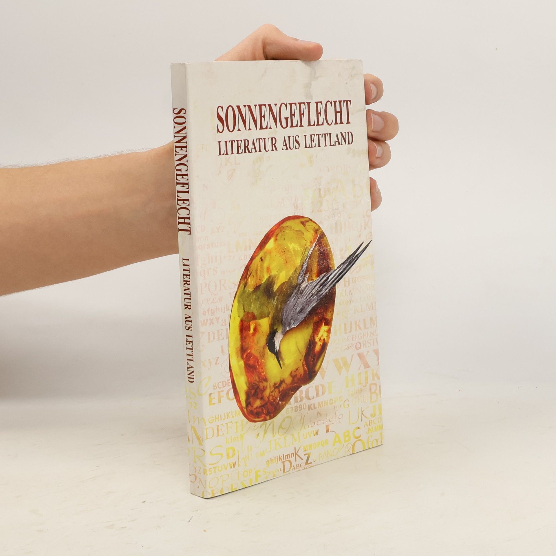 Heide Lydia Schmidt Sonnengeflecht