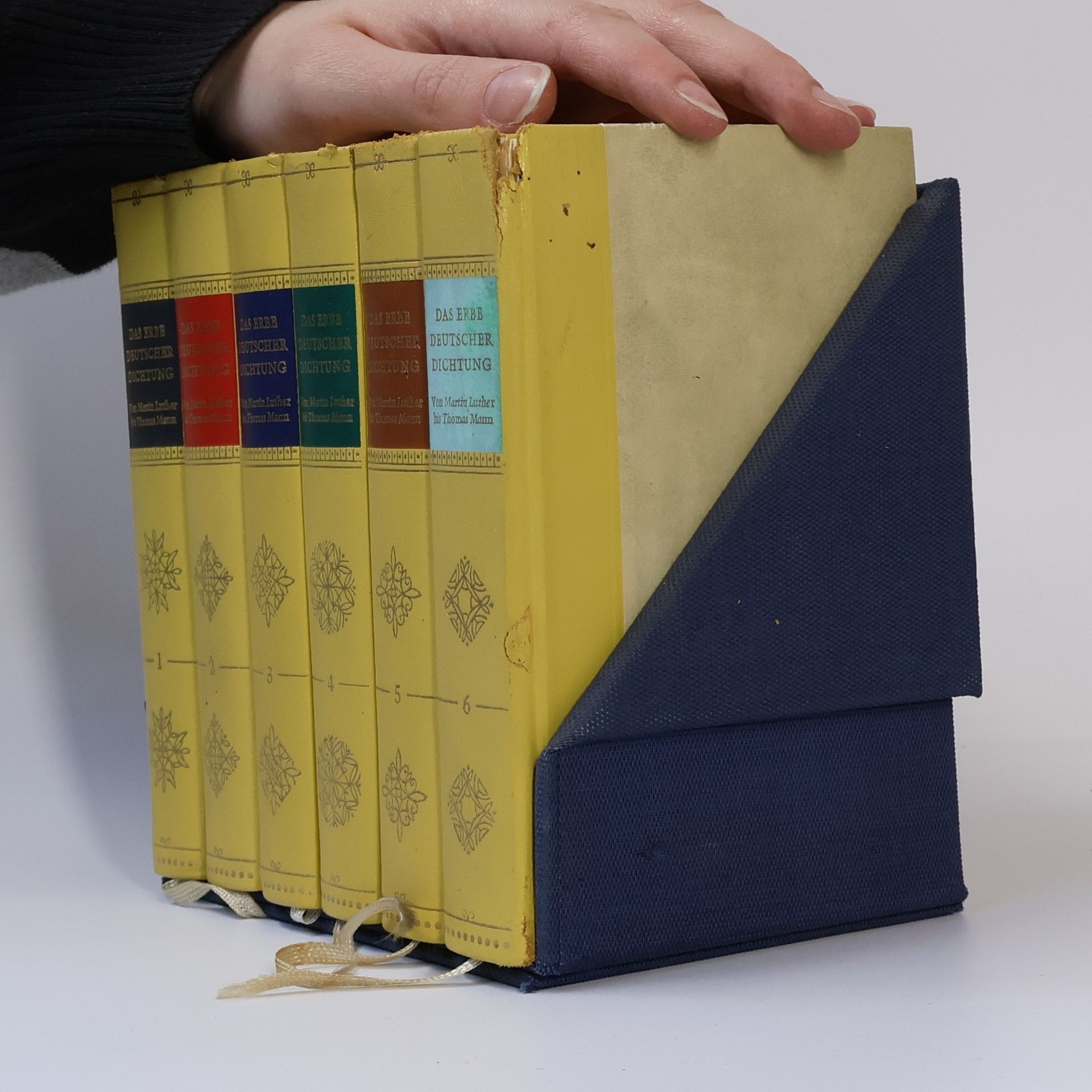 Thomas Mann Das Erbe Deutscher Dichtung 1-6
