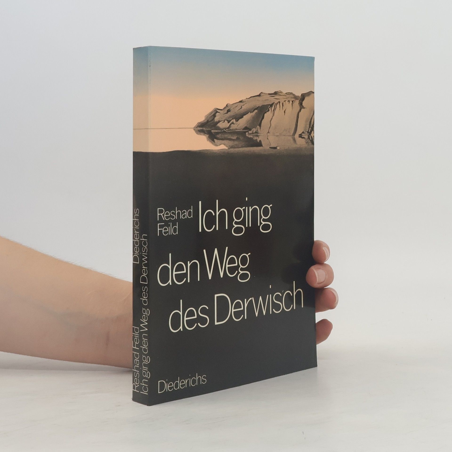Reshad Feild Ich ging den Weg des Derwisch