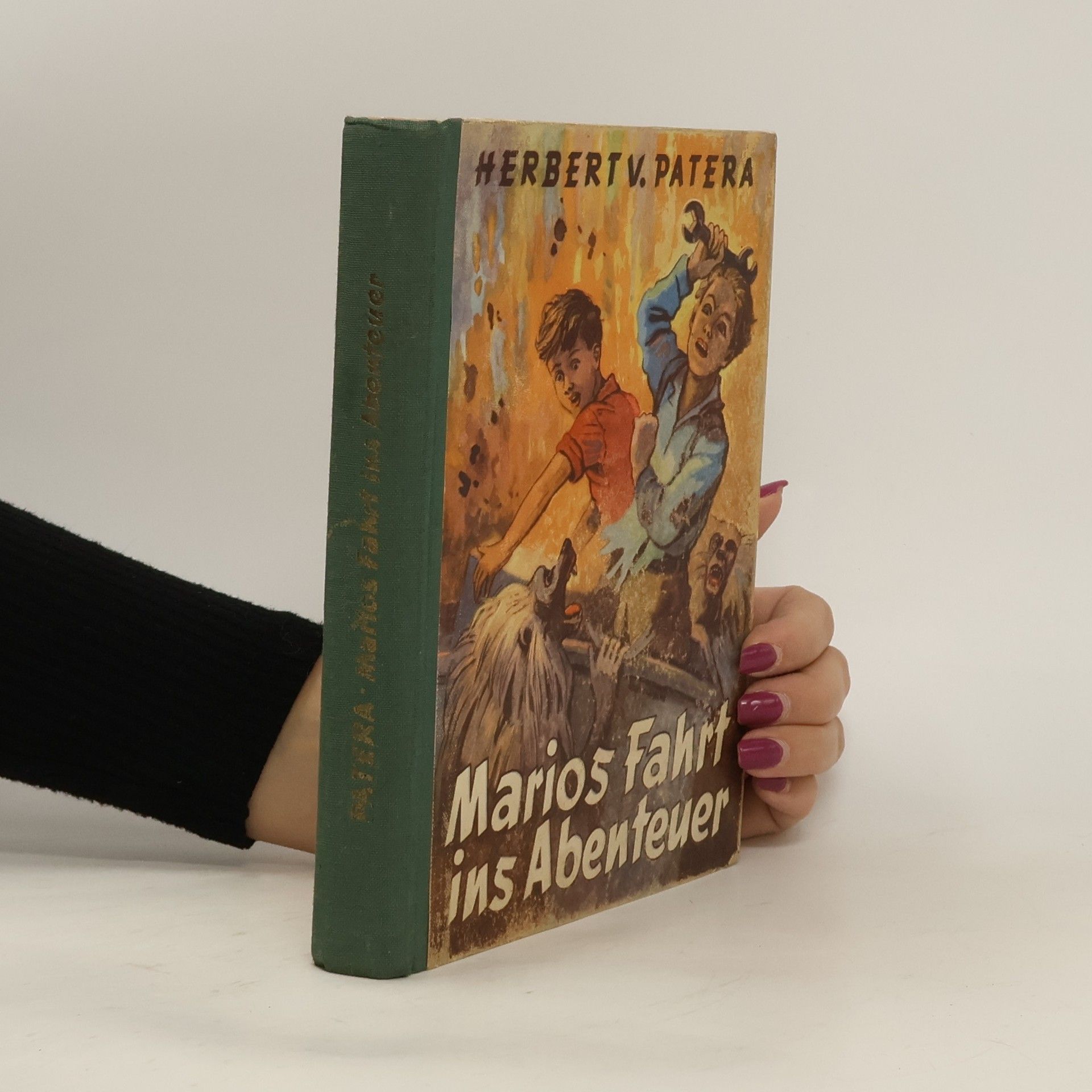 Marios fahrt ins Abenteuer