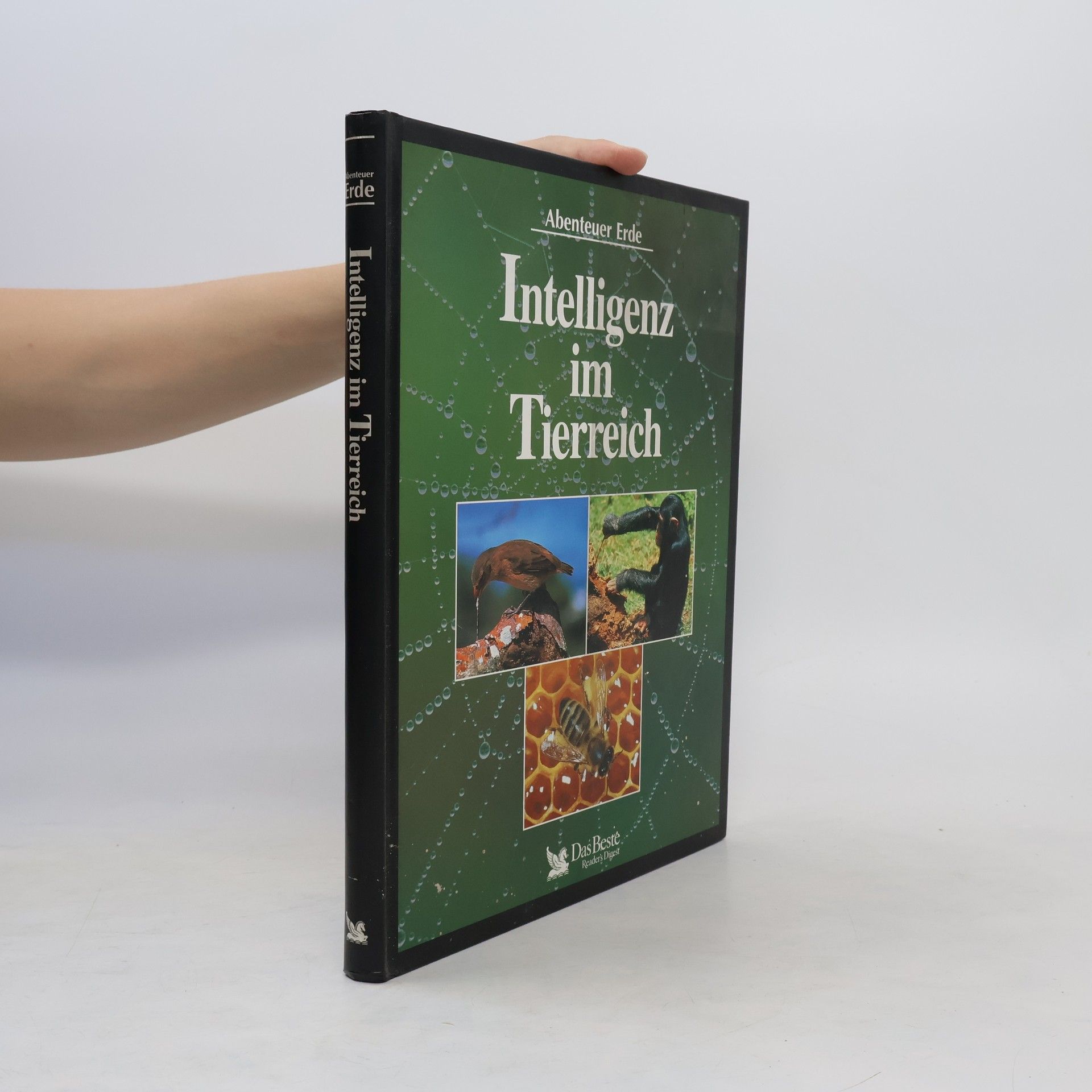 Collectif d'auteurs Intelligenz im Tierreich