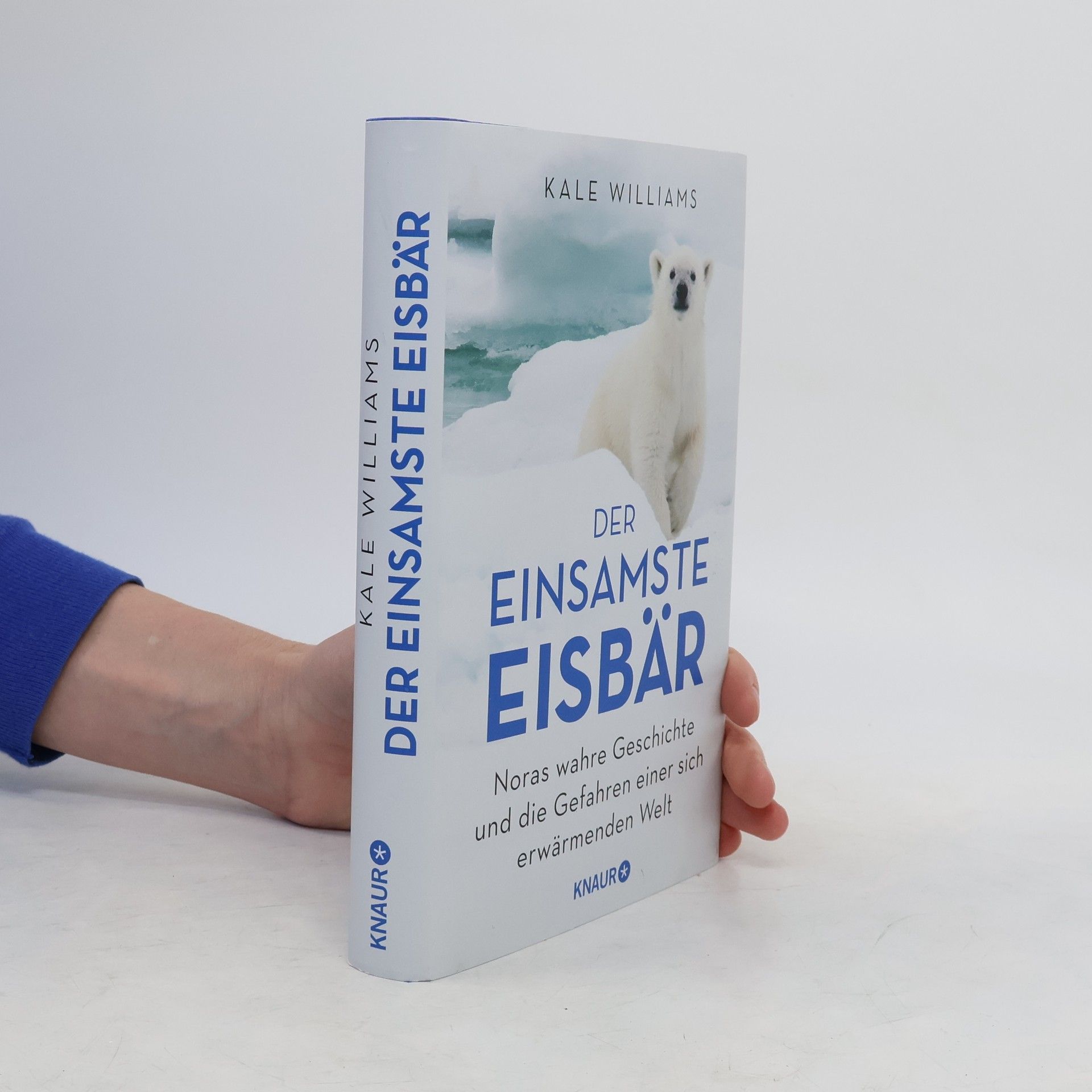 Der einsamste Eisbär