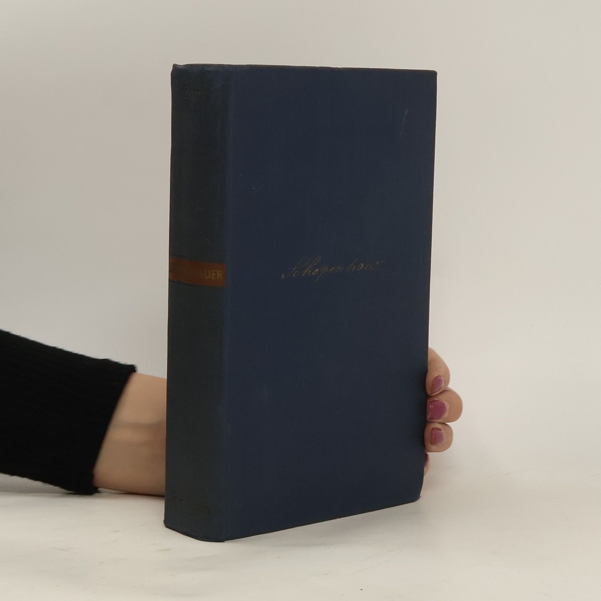 Rudolf Borch Schopenhauer. Sein Leben in Selbstzeugnissen, Briefen und Berichten