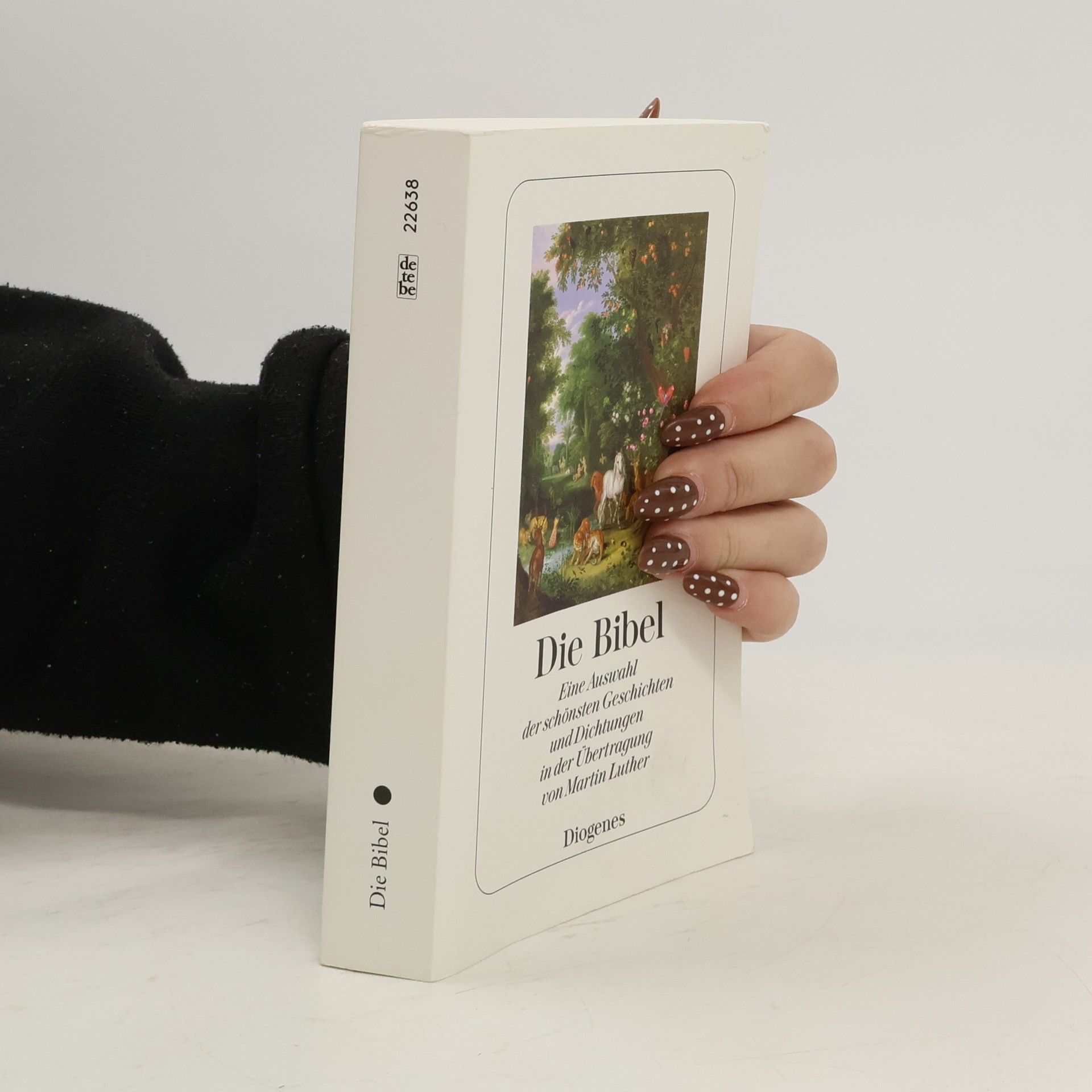 Franz Sutter Die Bibel