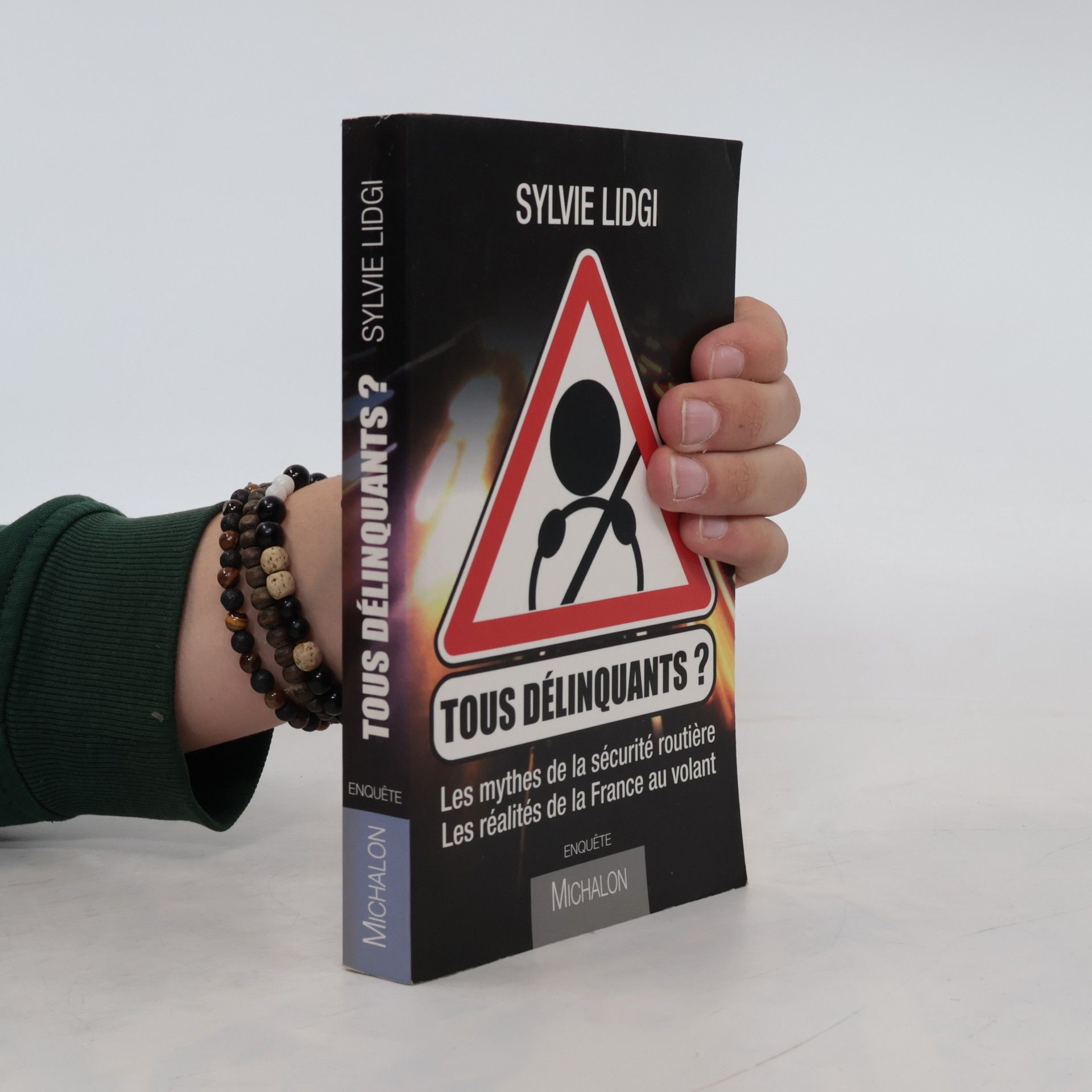 Sylvie Lidgi Tous délinquants ?