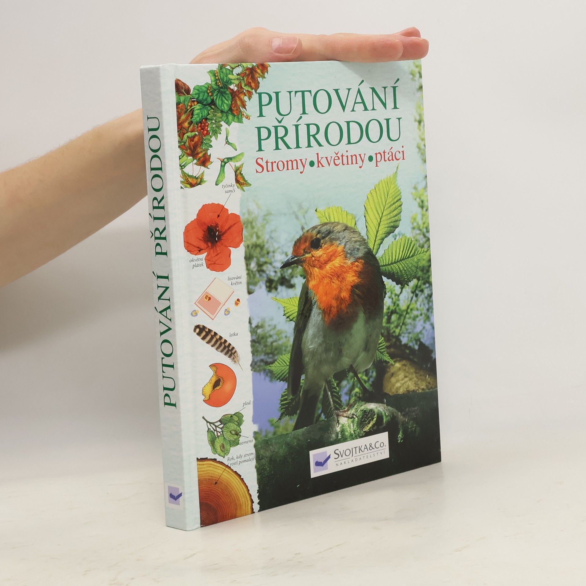 Kolektiv autorů Putování přírodou: Stromy, květiny, ptáci