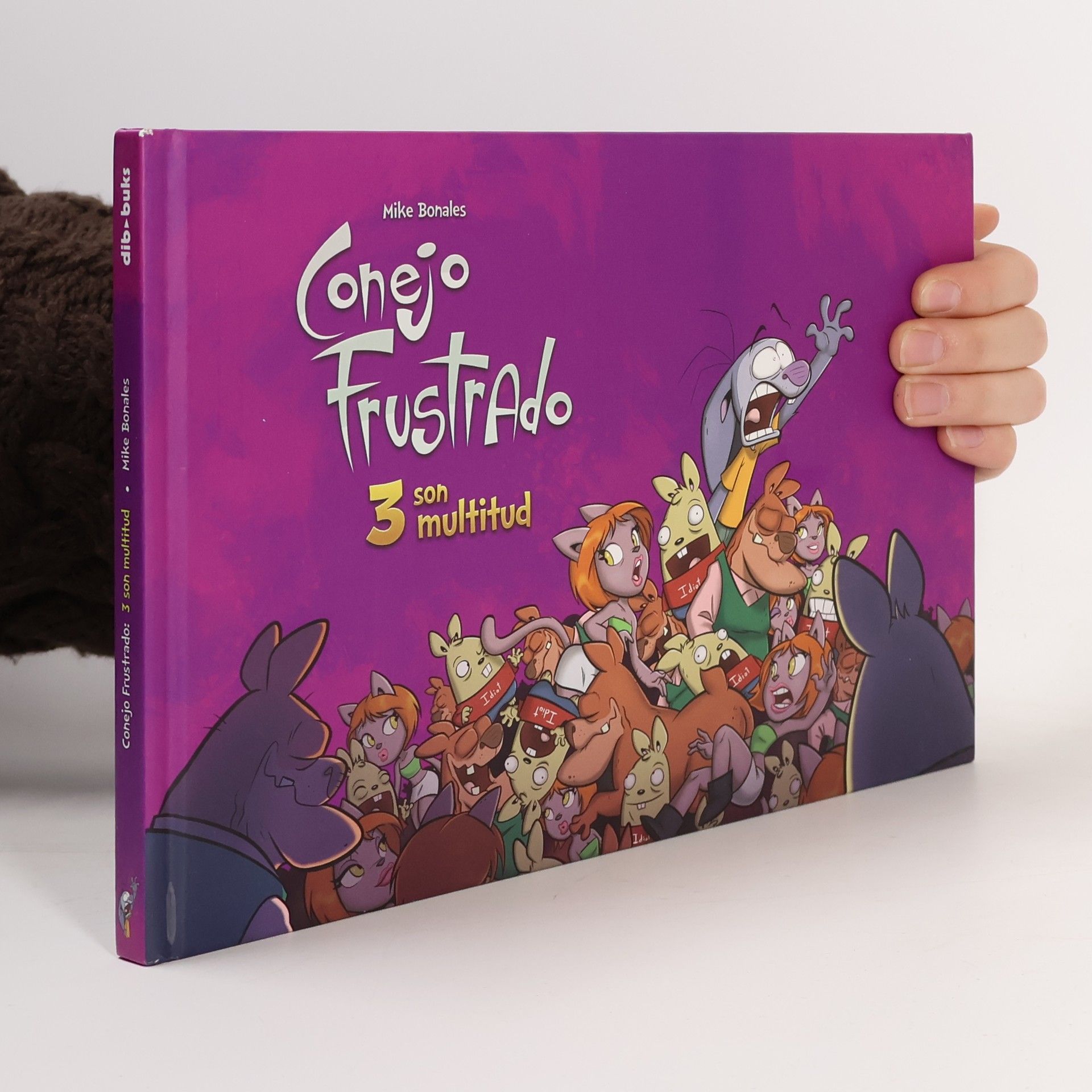 Miguel Fernández Bonales Conejo frustrado 3, Son multitud