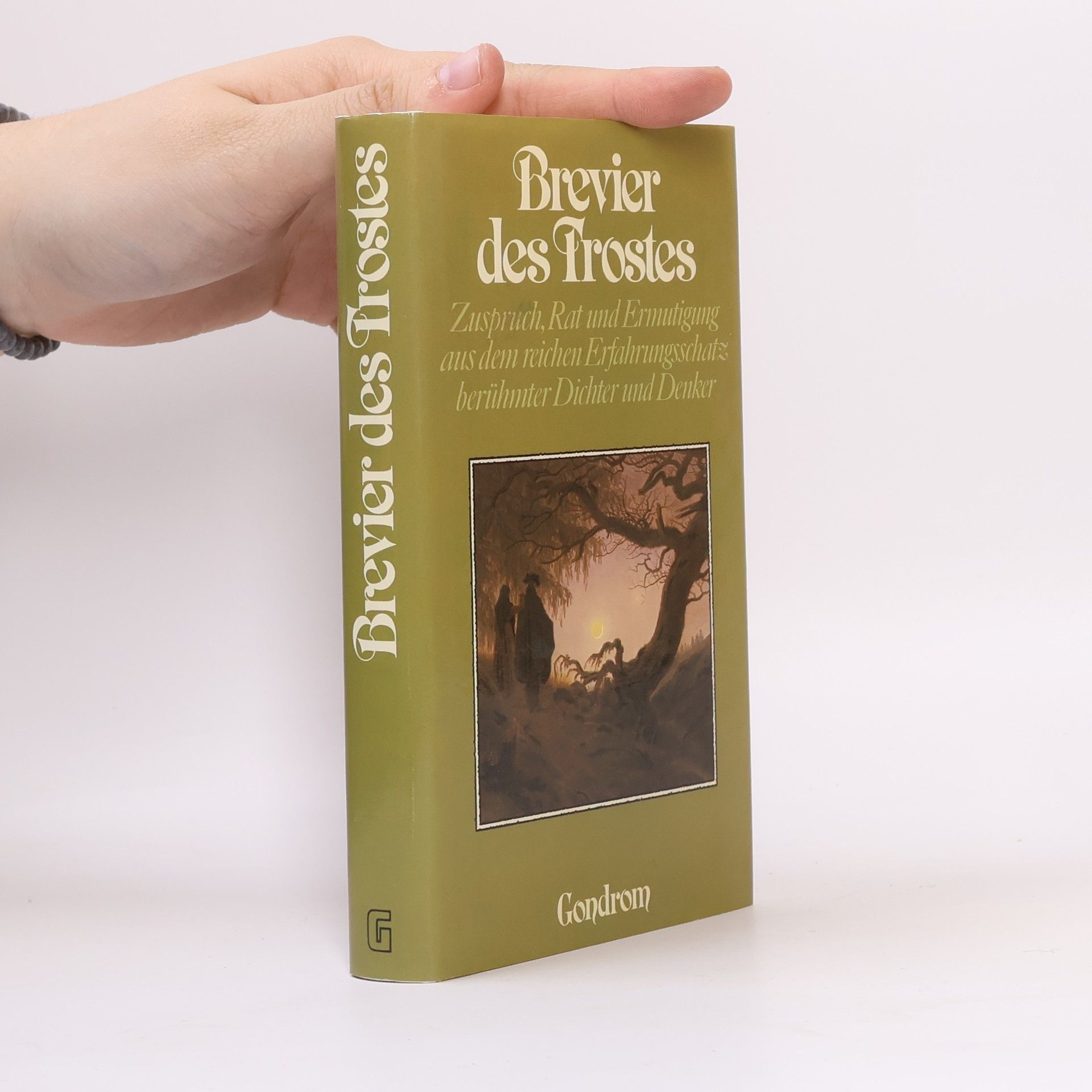 Roland W. Fink-Henseler Brevier des Trostes