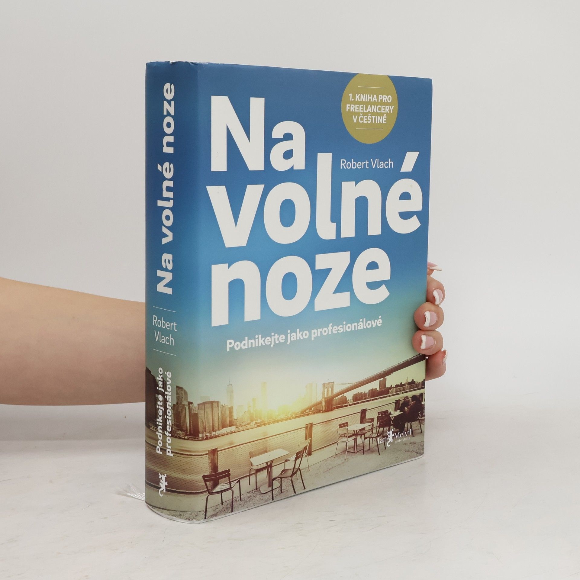 Robert Vlach Na volné noze